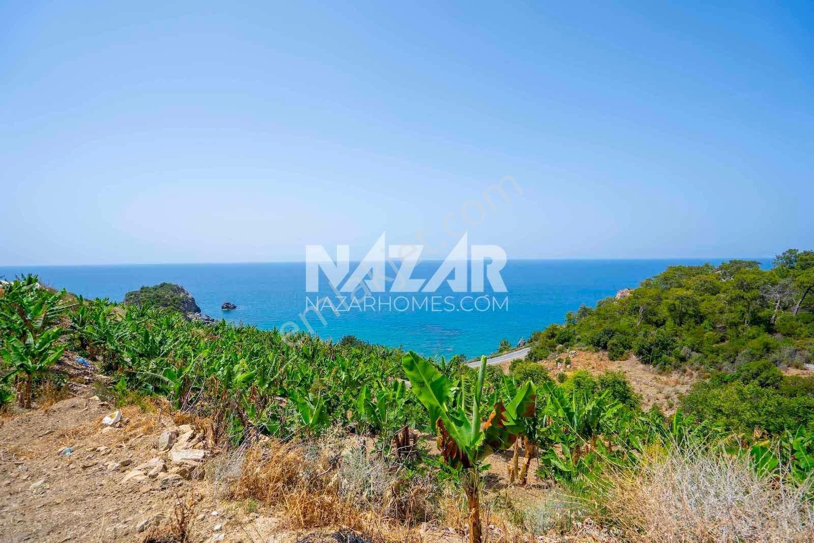 Alanya Uğrak’da Denize Sıfır 631 M² Tarla