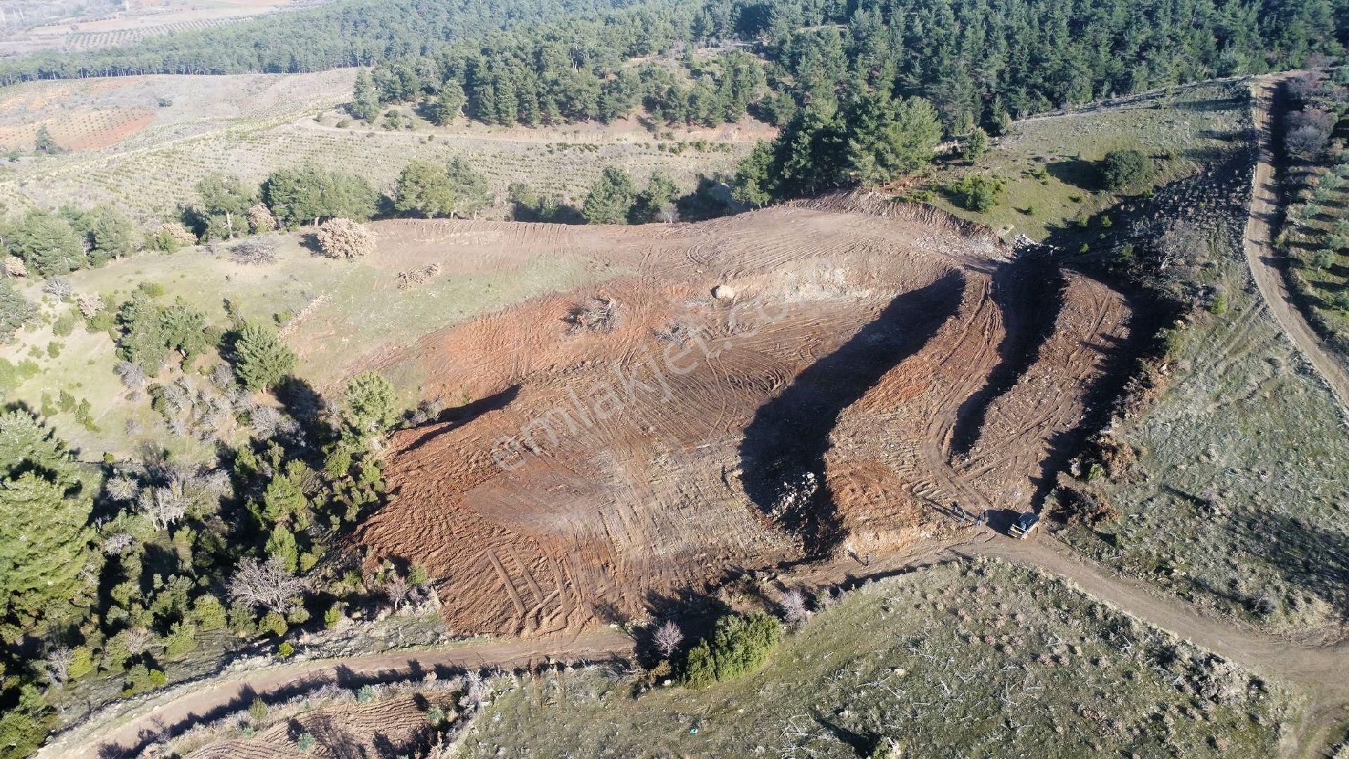 Tavas Seki Satılık Tarla KÜLAHOĞLU GAYRİMENKUL'DEN TAVAS'DA SATILIK 23 DÖNÜM TARLA ACİL SATILIK 