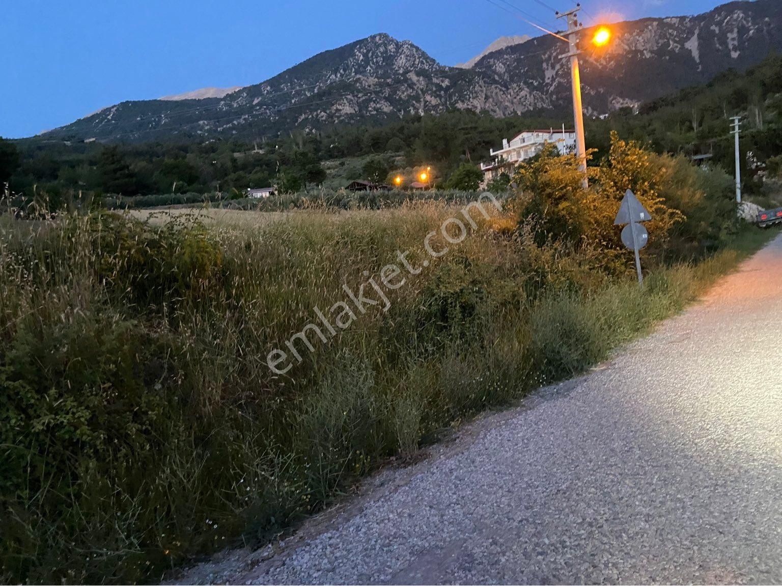 Seydikemer Yakaköy Satılık Tarla SEYDİKEMER YAKA MAHALLESİNDE SATILIK ANA YOL KENARI MÜSTAKİL PARSEL