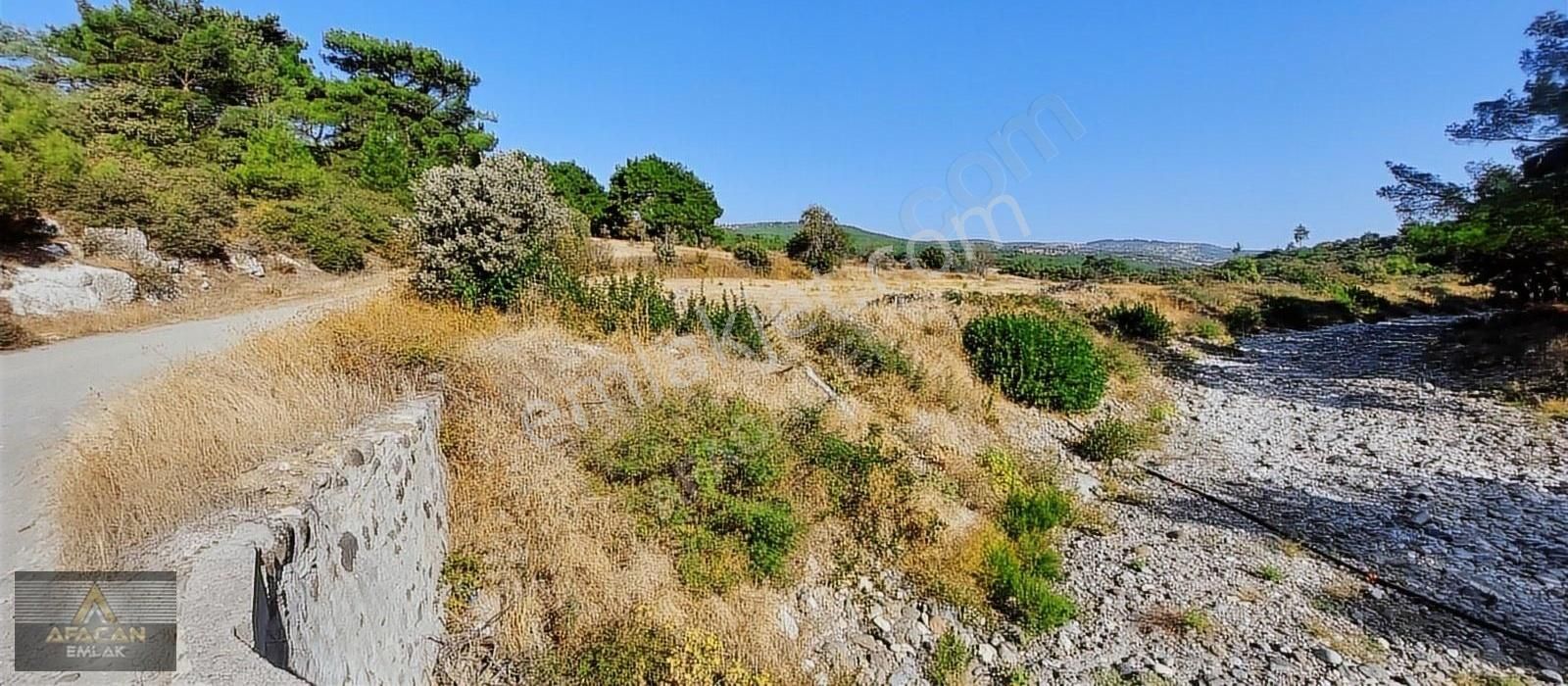 Bergama Koyuneli Satılık Tarla AFACAN dan Bozyerler Koyuneli de Yol Kenarı Satılık Boş Arazi