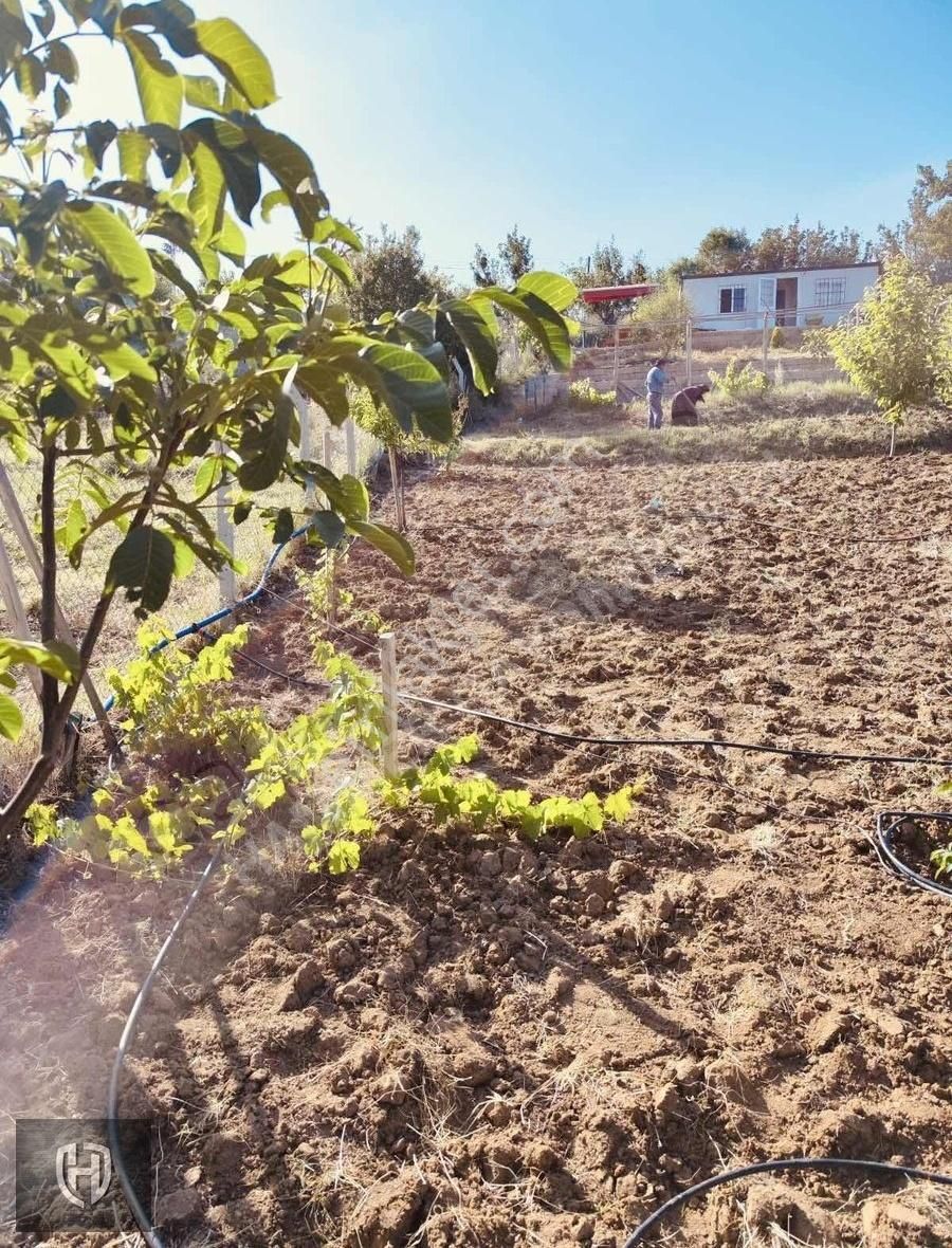 Selçuklu Tatköy Satılık Bağ & Bahçe TATKÖY MAHALLESİNDE MÜSTAKİL BAHÇE