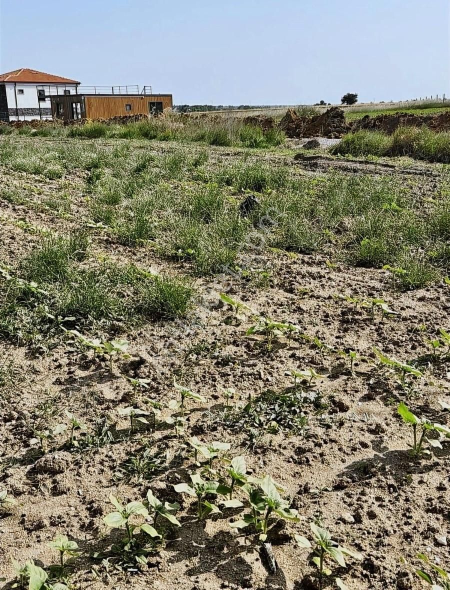 Kırklareli Merkez Kavaklı Bld. (Celaliye) Satılık Bağ & Bahçe KAVAKLIDA SATILIK ARSA