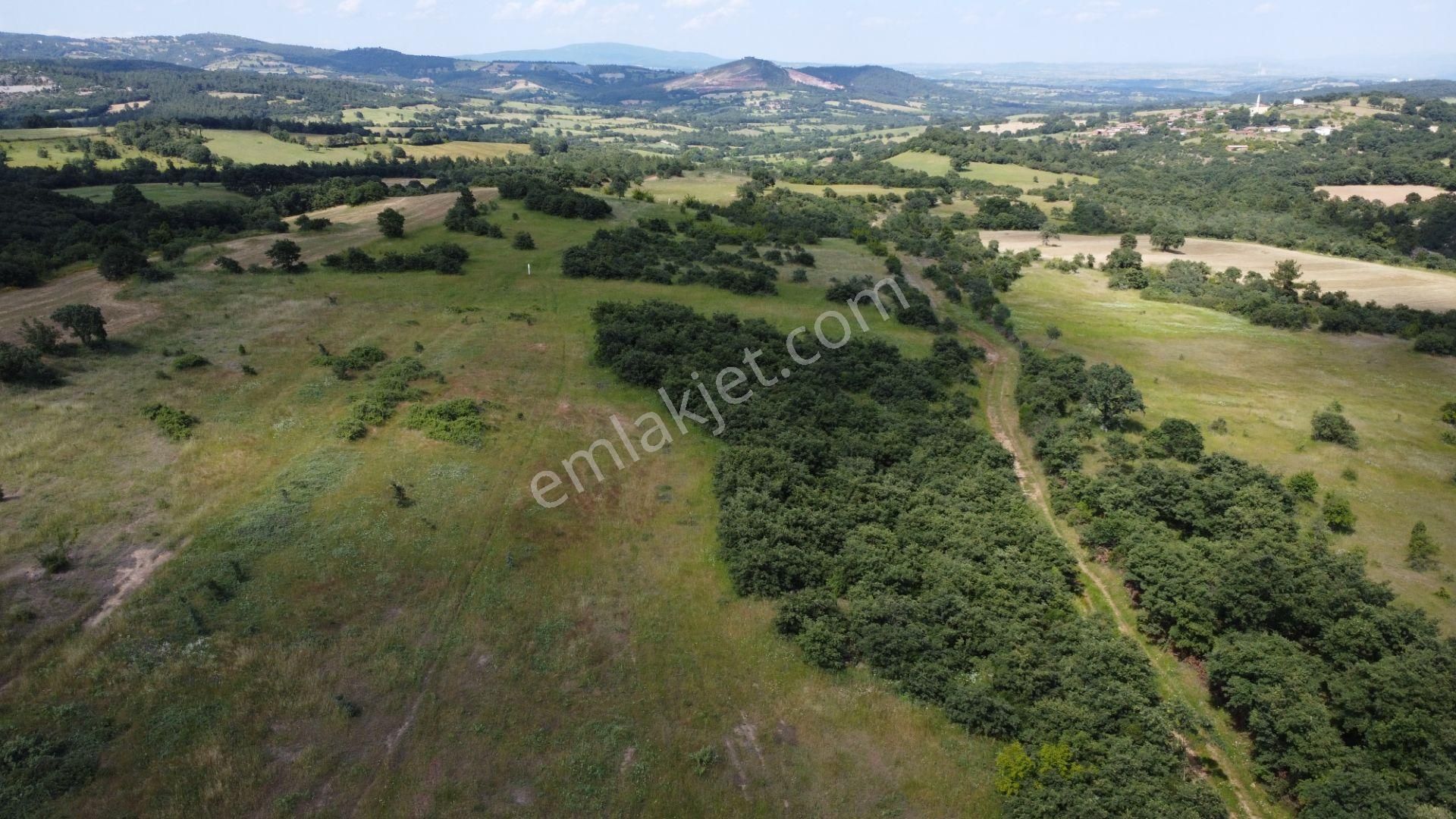 Bayramiç Muratlar Köyü Satılık Tarla  ÇANAKKALE BAYRAMİÇ MURATLAR KÖYÜ 45.000 m2 TARLA