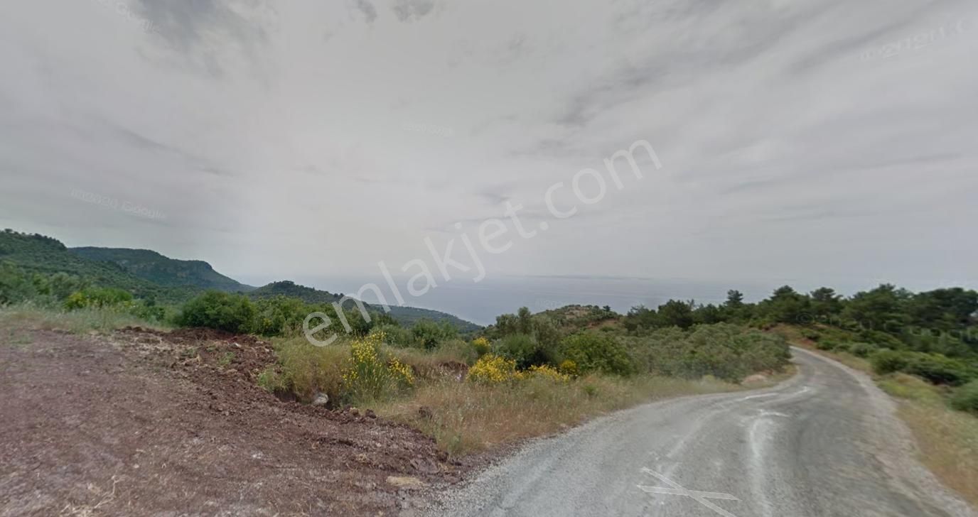 Ayvacık Ahmetçe Köyü (Ahmetçe Sahil Yolu) Satılık Zeytinlik Çanakkale Ahmetçe Cadde Yolunda 1267 M2 Zeytinlik