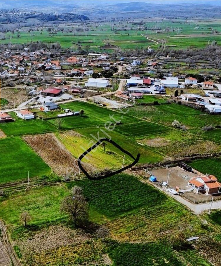 Biga Selvi Köyü Satılık Konut İmarlı  ÇANAKKALE BİGA SELVİ DE YERLEŞİM İÇİ İMARLI İFRAZLI ARSA