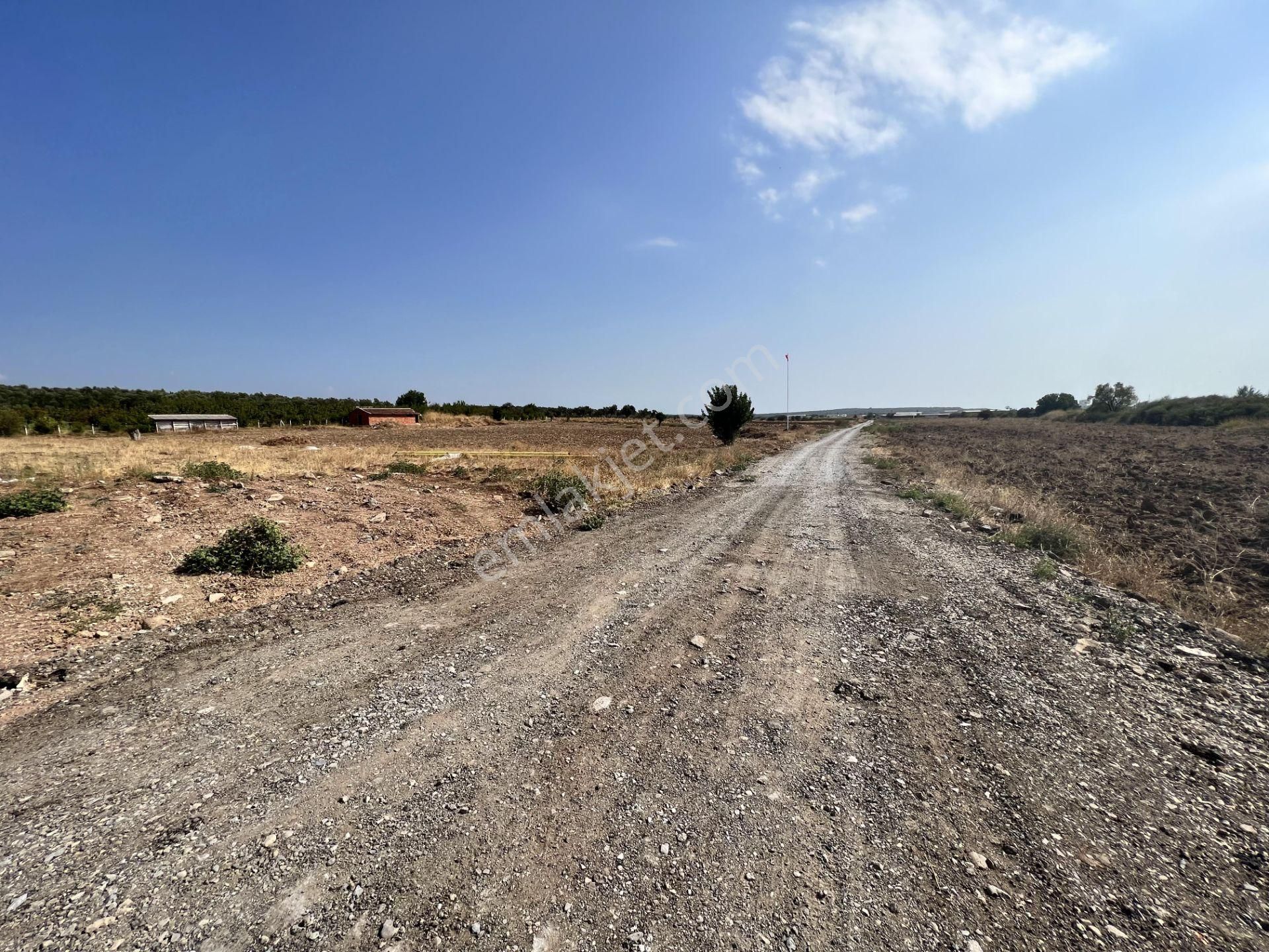 Ayvalık Fethiye Satılık Tarla Ayvalık Ta Satılık 26,840 Metre Kare Tarla.icinde Bina Vardır