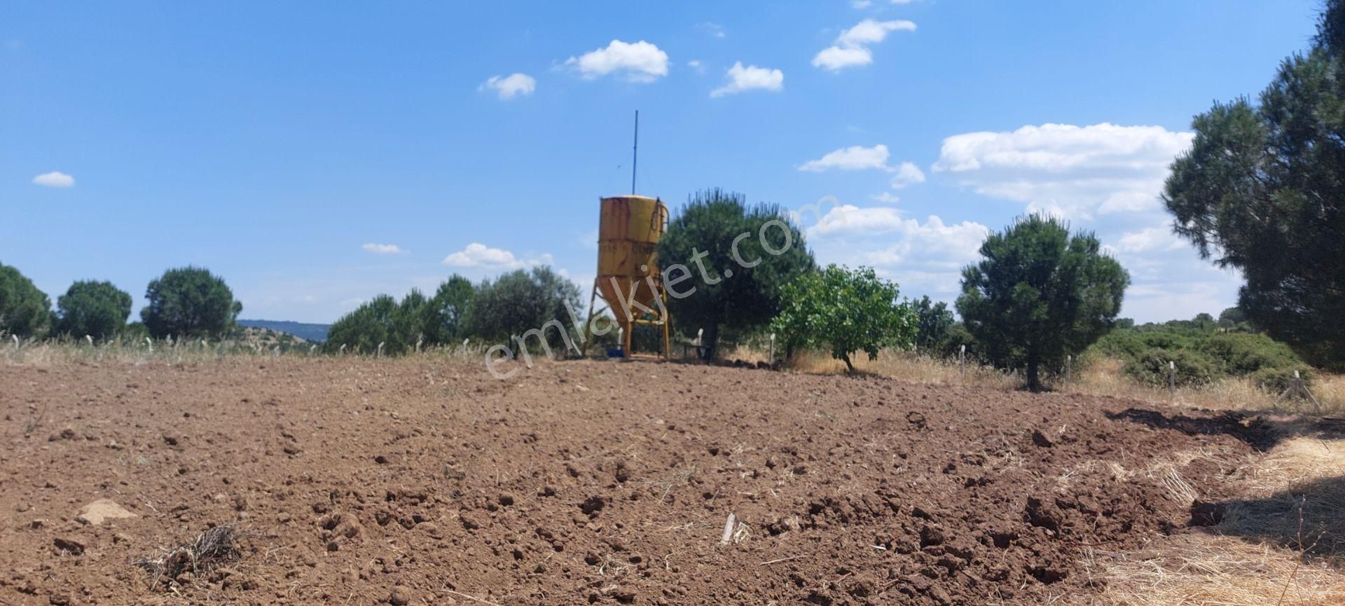 Bergama Bozyerler Satılık Tarla  AFACAN dan Bozyerler de Her Projeye Uyumlu Satılık Fırsat Arazi