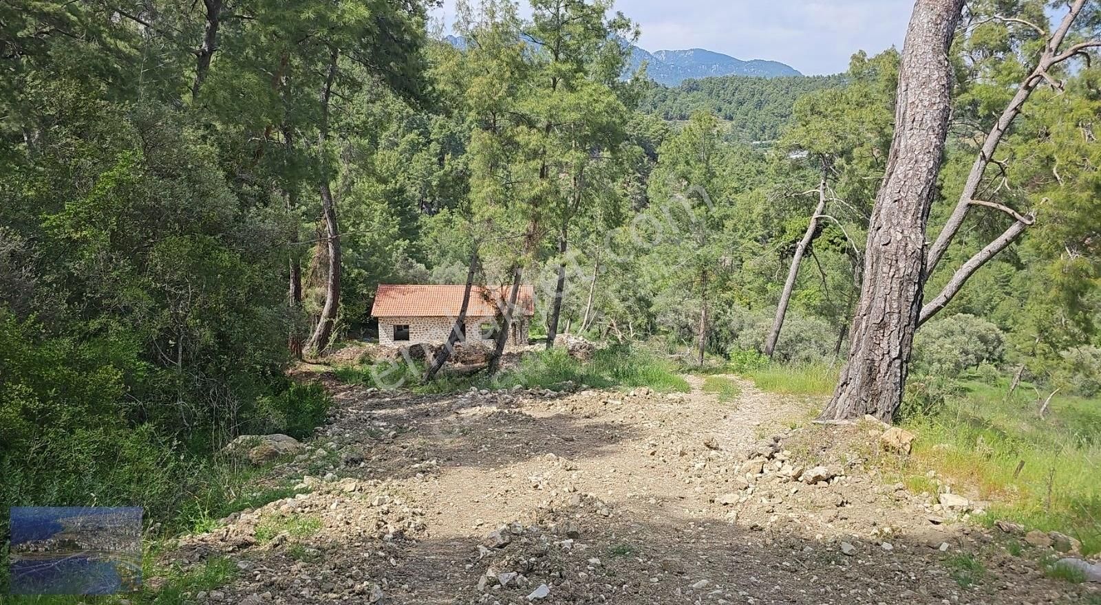 Kumluca Adrasan Satılık Tarla Adrasanda Satılık Mustakıl Tapulu Arazi Satılıktır