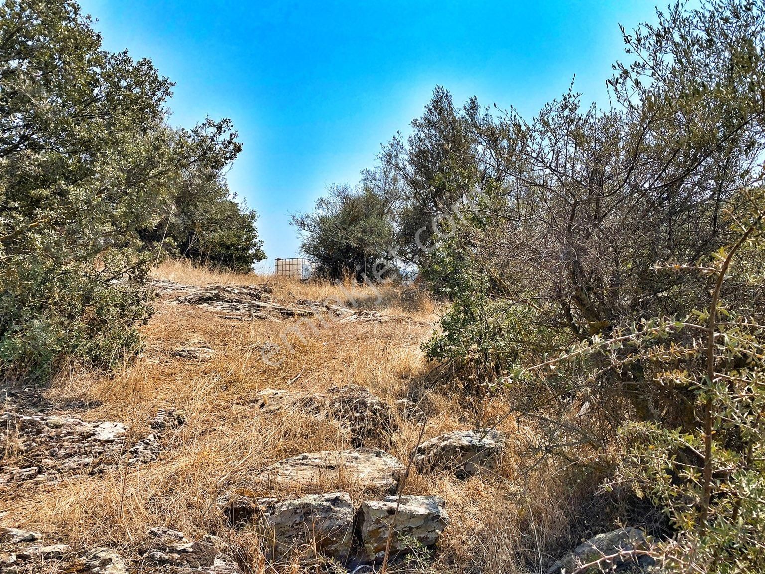 Milas Meşelikte Satılık İmarlı Arsa - Görsel 8
