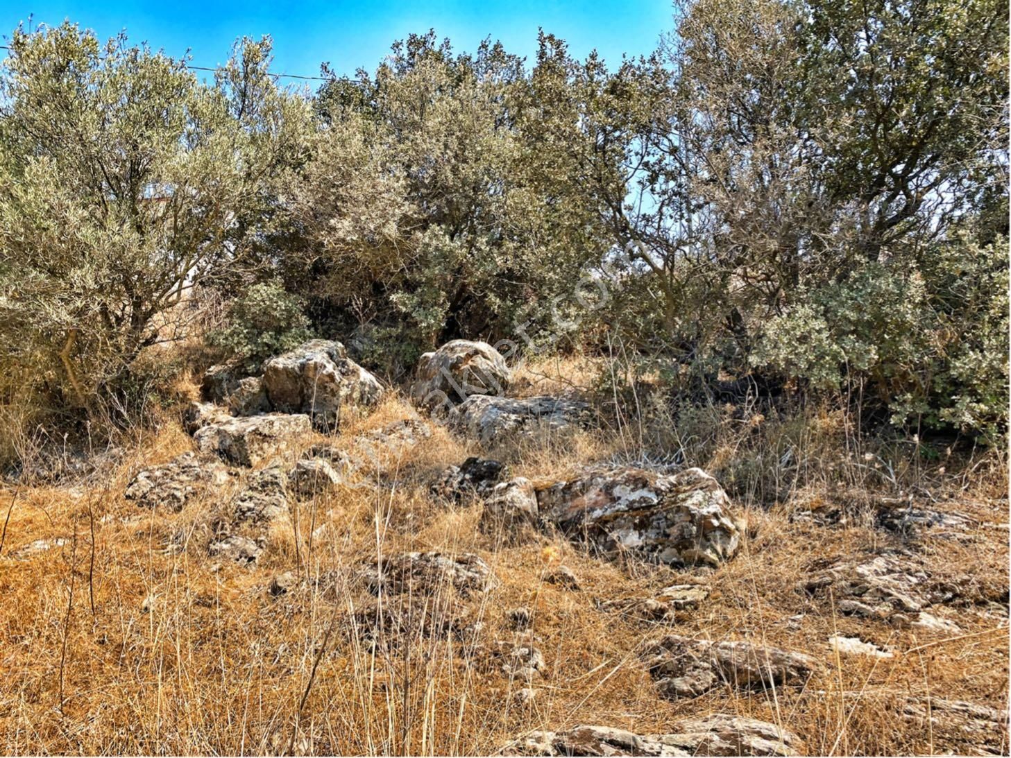 Milas Meşelikte Satılık İmarlı Arsa - Görsel 7