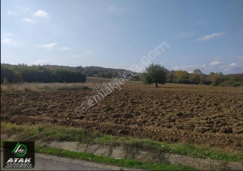 Mollafenaride Doğa Harikası Yer - Görsel 6