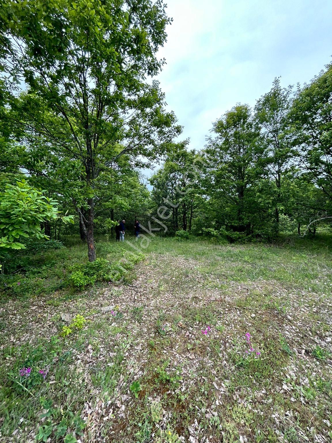 5600 M2 Kelepir Arazi - %50 Peşinat Geri Kalan 12 Ay Taksit