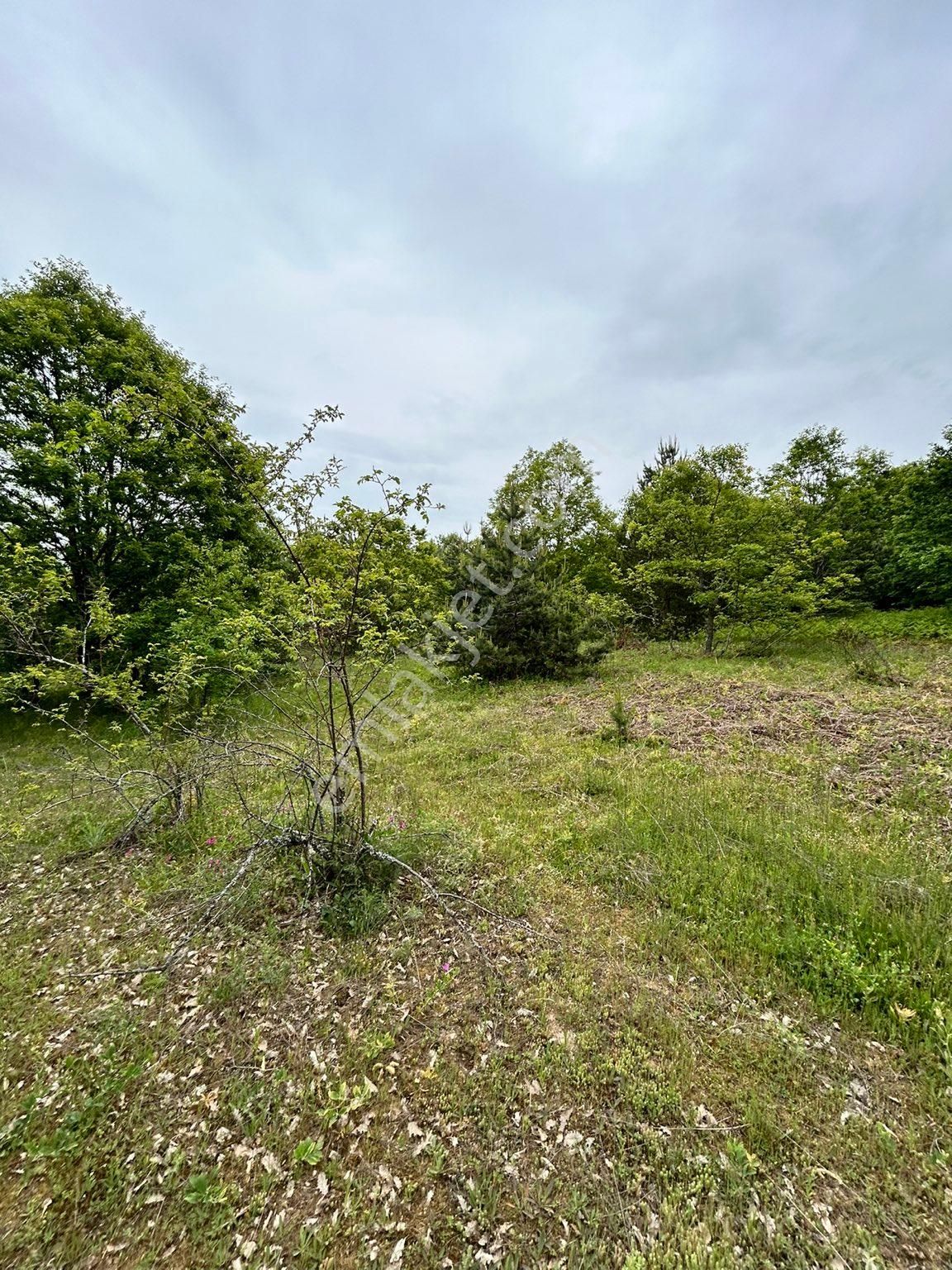 2850 M2 Çok Güzel Tarla %50 Peşin %50 12 Ay Taksit - Görsel 5