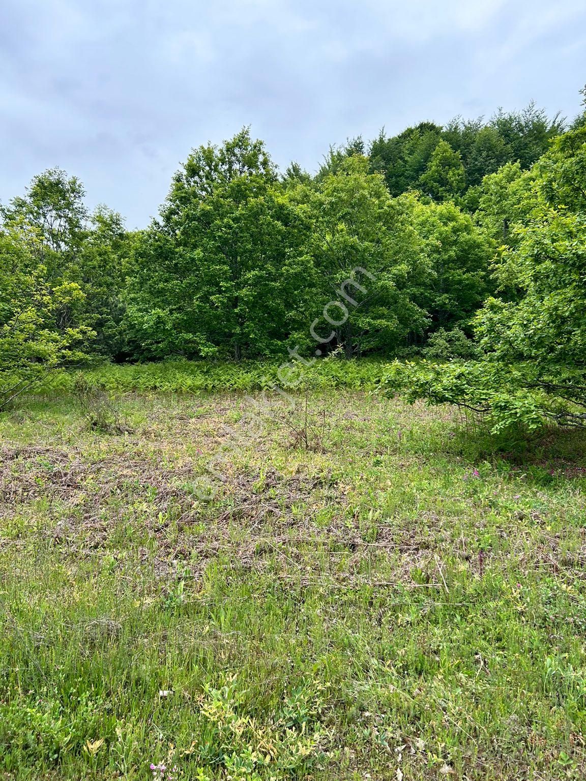 10 Dönüm Çok Güzel Tarla %50 Peşinat Geri Kalan 12 Ay Taksit - Görsel 3