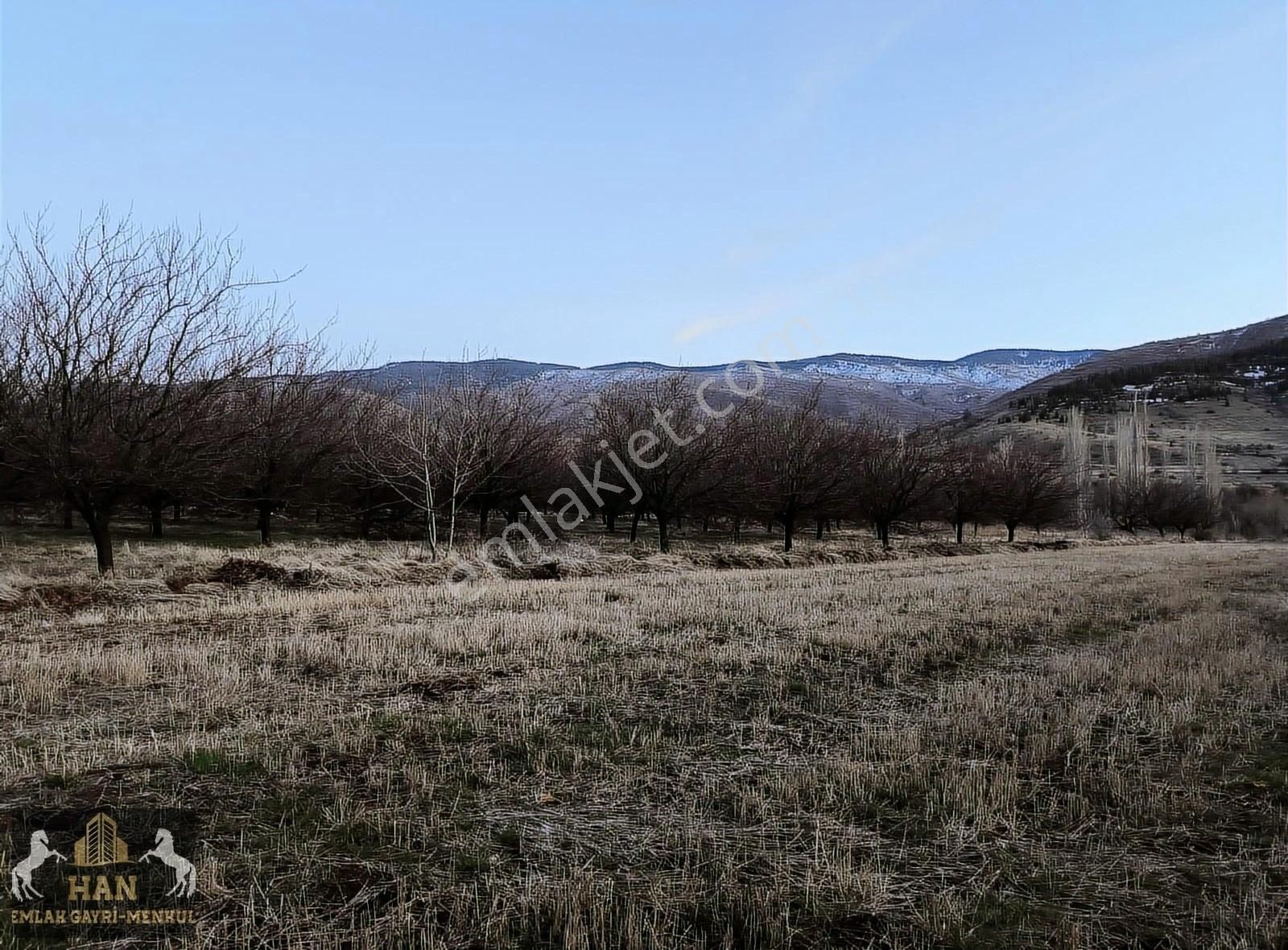 Elazığ Merkez Yalındamlar Köyü Satılık Bağ & Bahçe 12.3 DÖNÜM BAHÇE