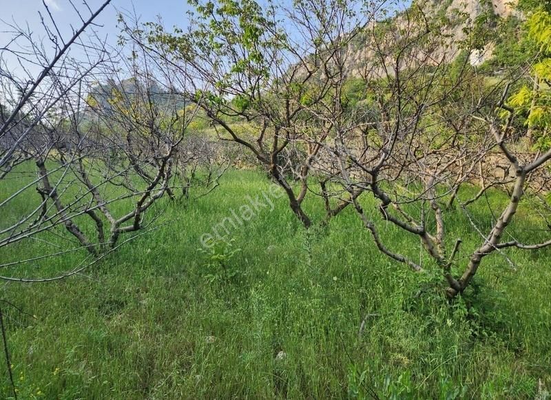 Toroslar Gözne Satılık Tarla MERSİN TOROSLAR GÖZNE MAH.'DE DOĞA MANZARALI SATILIK ARSA