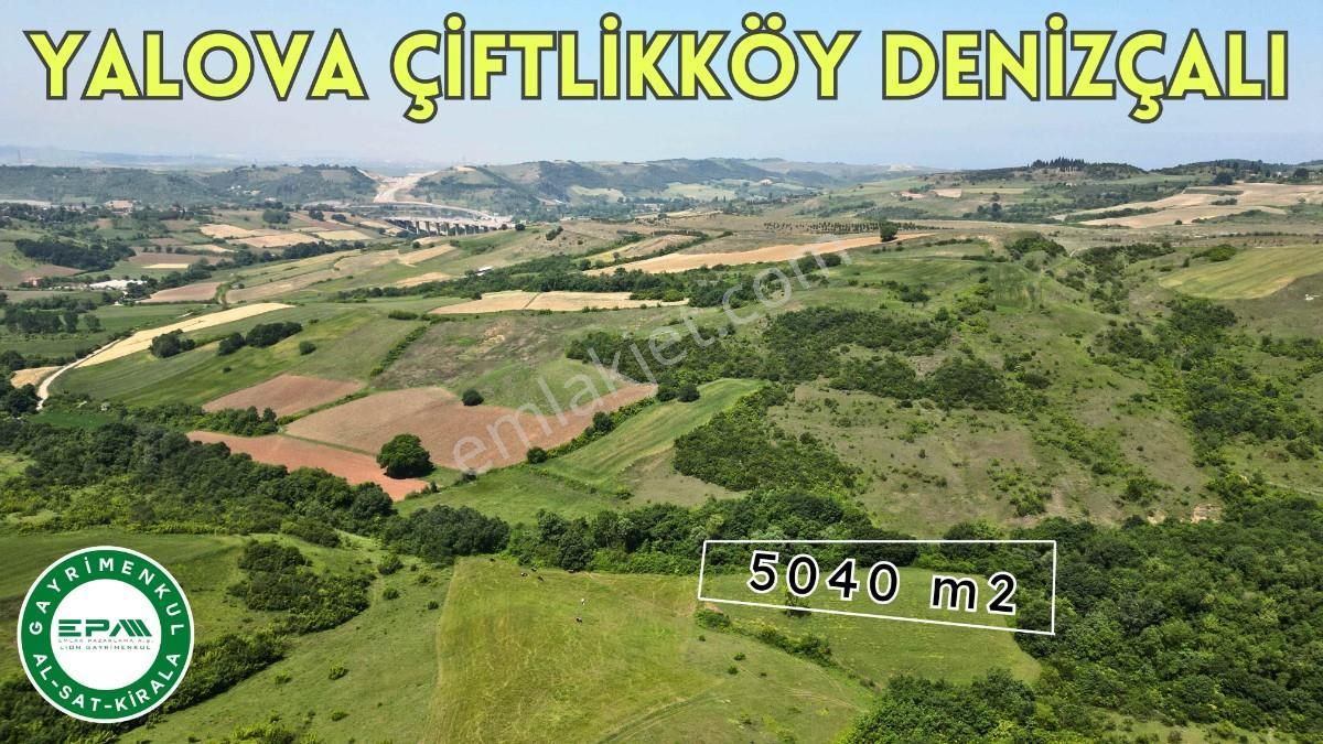 Çiftlikköy Denizçalı Köyü Satılık Tarla YALOVA ÇİFTLİKKÖY DENİZÇLALI da 5040 m2 EĞİMSİZ TARLA