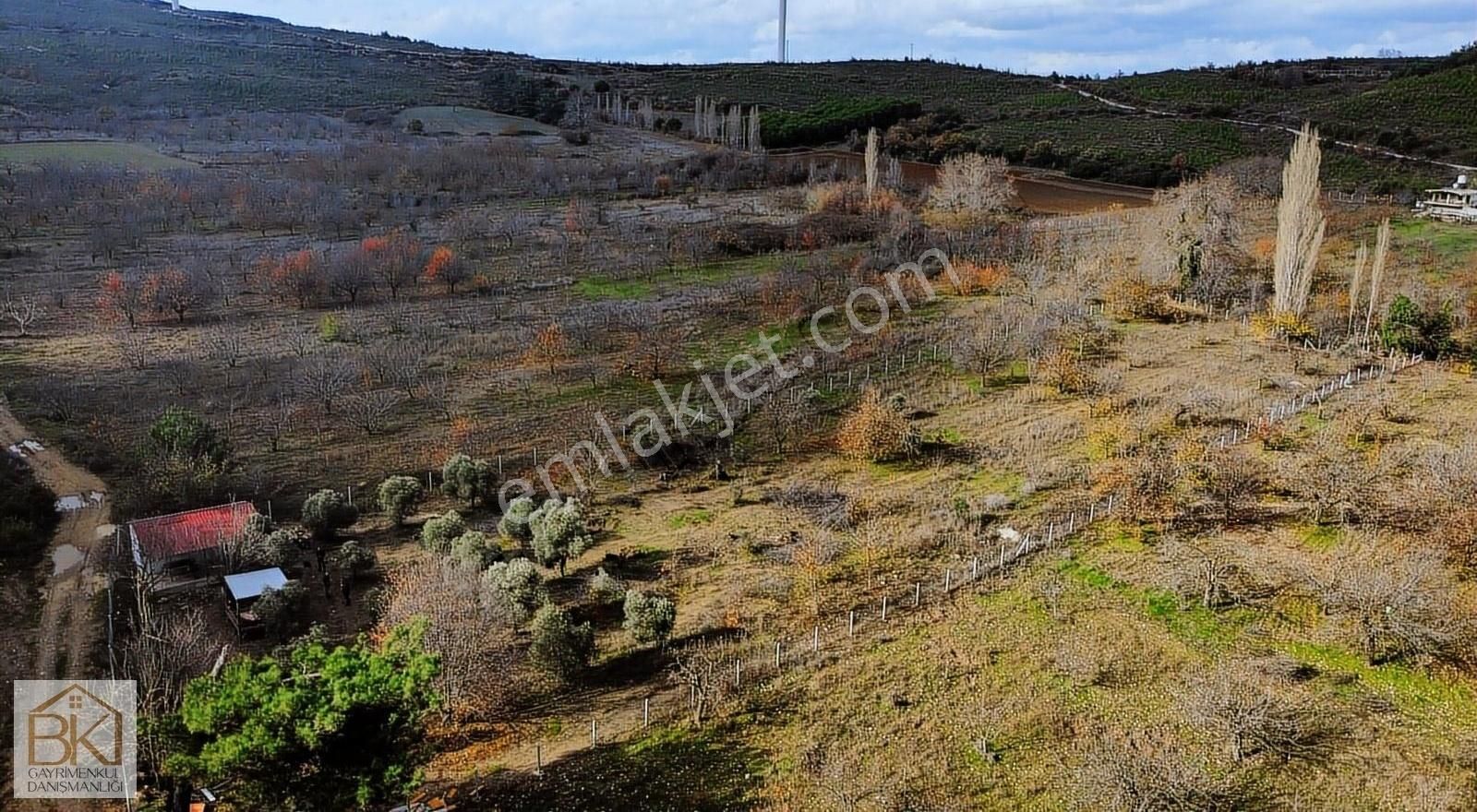 Kuşadası Kirazlı Satılık Tarla KUŞADASI KİRAZLIKÖYDE SATILIK KİRAZ BAHÇESİ