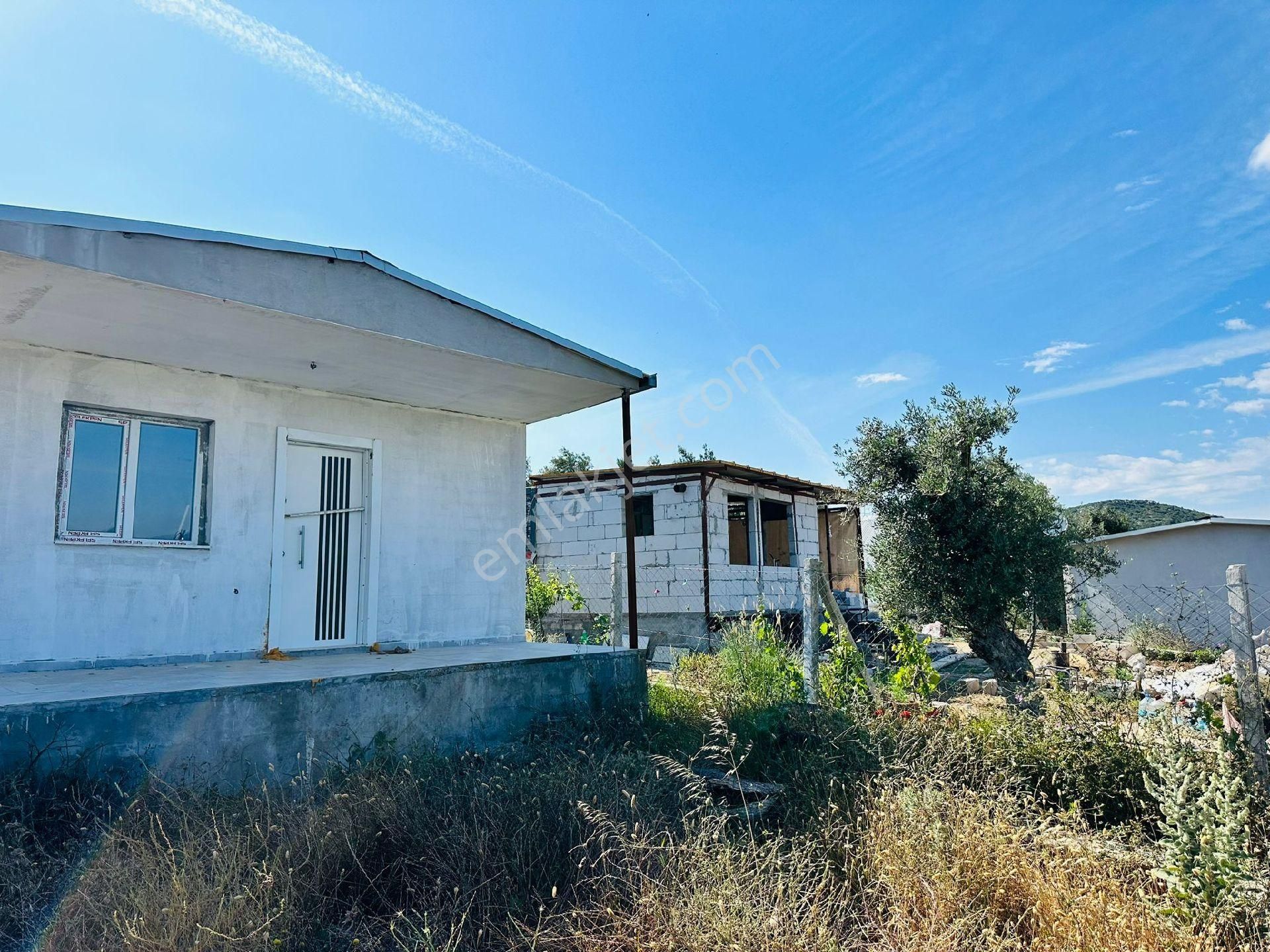 Torbalı Çapak Satılık Zeytinlik Torbalı capakta satılık bahçe 