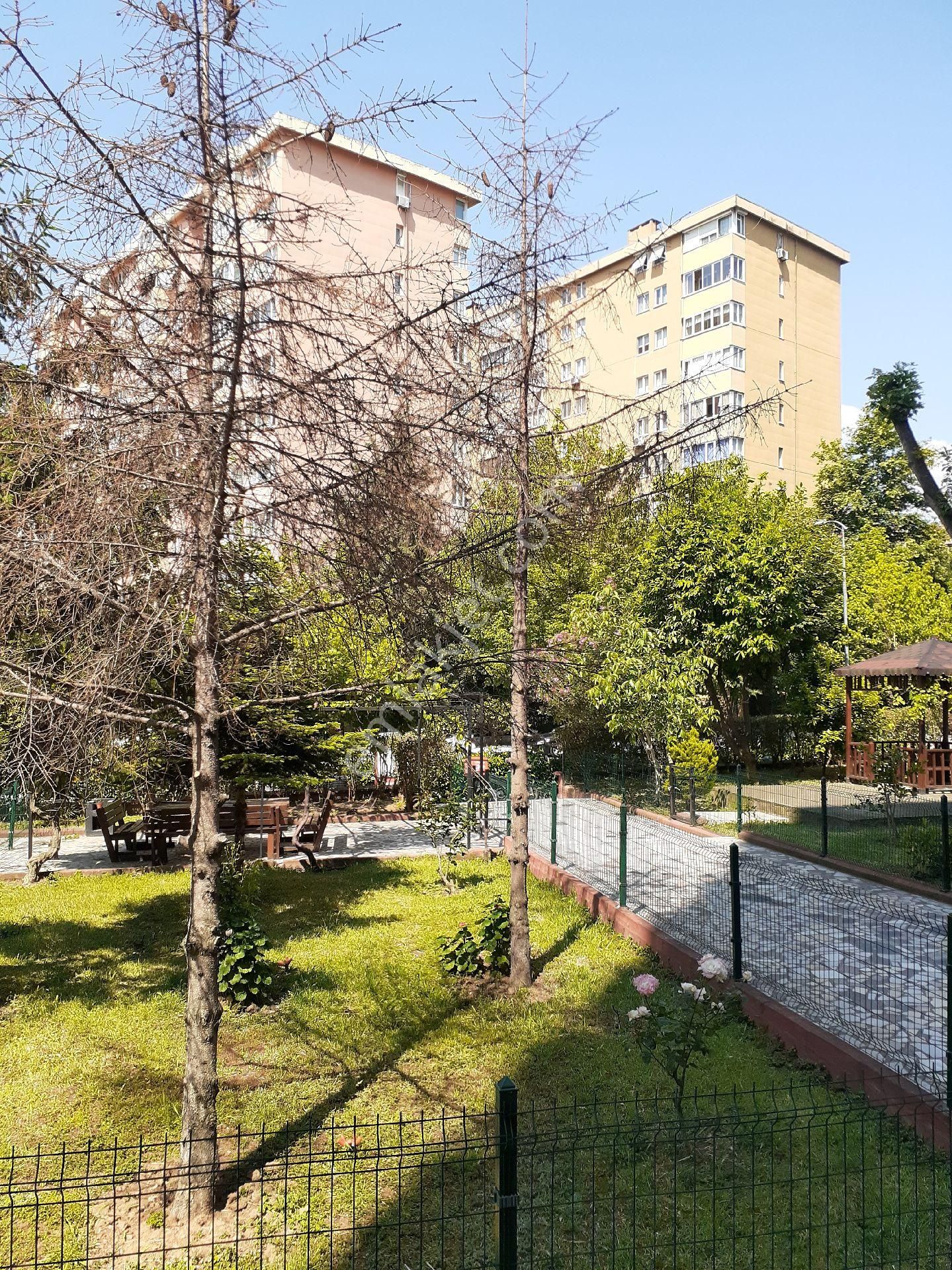 Kadıköy 19 Mayıs Satılık Daire KOZYATAĞI SÜMKO Sitesinde Daire arıyoruz 