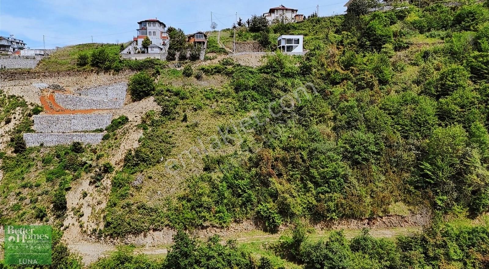 Akçaabat Söğütlü Satılık Tarla TRABZON SÖĞÜTLÜ 'DE SATILIK VİLLA İMARLI ARSA /// BHGRE LUNA