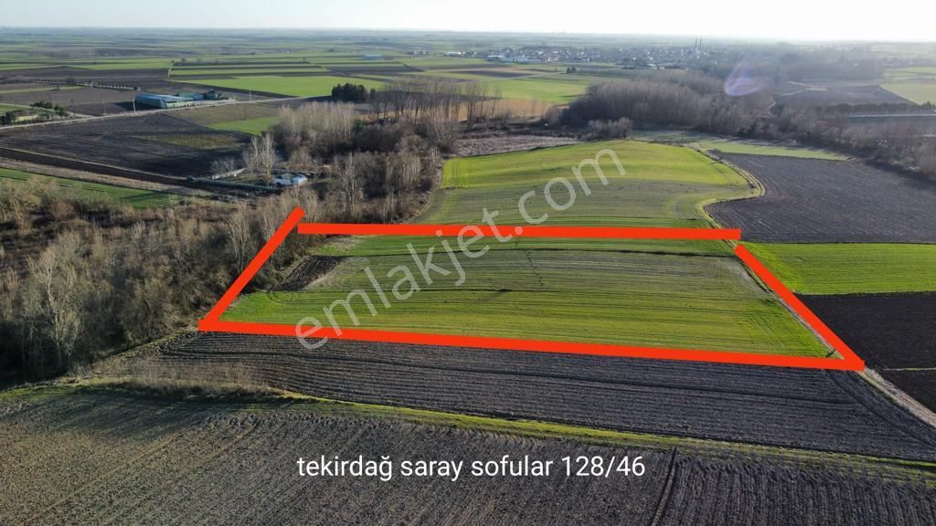 Saray Sofular Satılık Tarla Tekirdağ, Saray, Sofular Köyünde Yerleşime Yakın Yatırımlık Yerlerimiz.