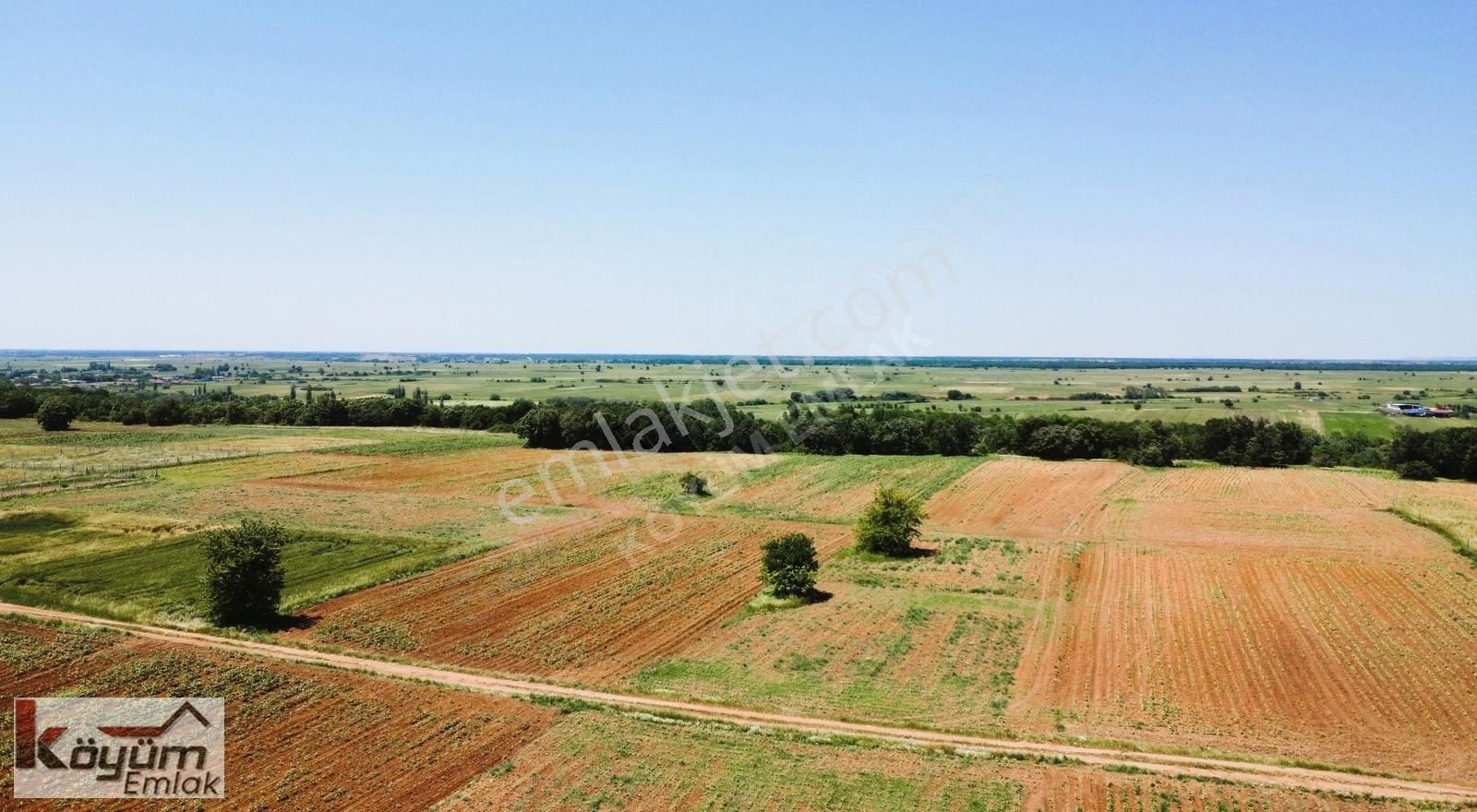 Lüleburgaz Ertuğrul Köyü Satılık Bağ & Bahçe ERTUĞRUL KÖY BAĞLIK BÖLGESİNDE 1295m.YOLA CEPHE ARAZİ