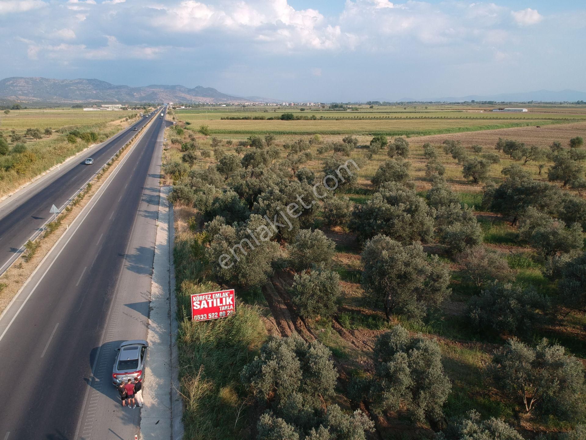 Ayvalık Altınova Satılık Tarla Balıkesir Ayvalık Altınova Da Satılık 8,000 Metre Kare Tarla.