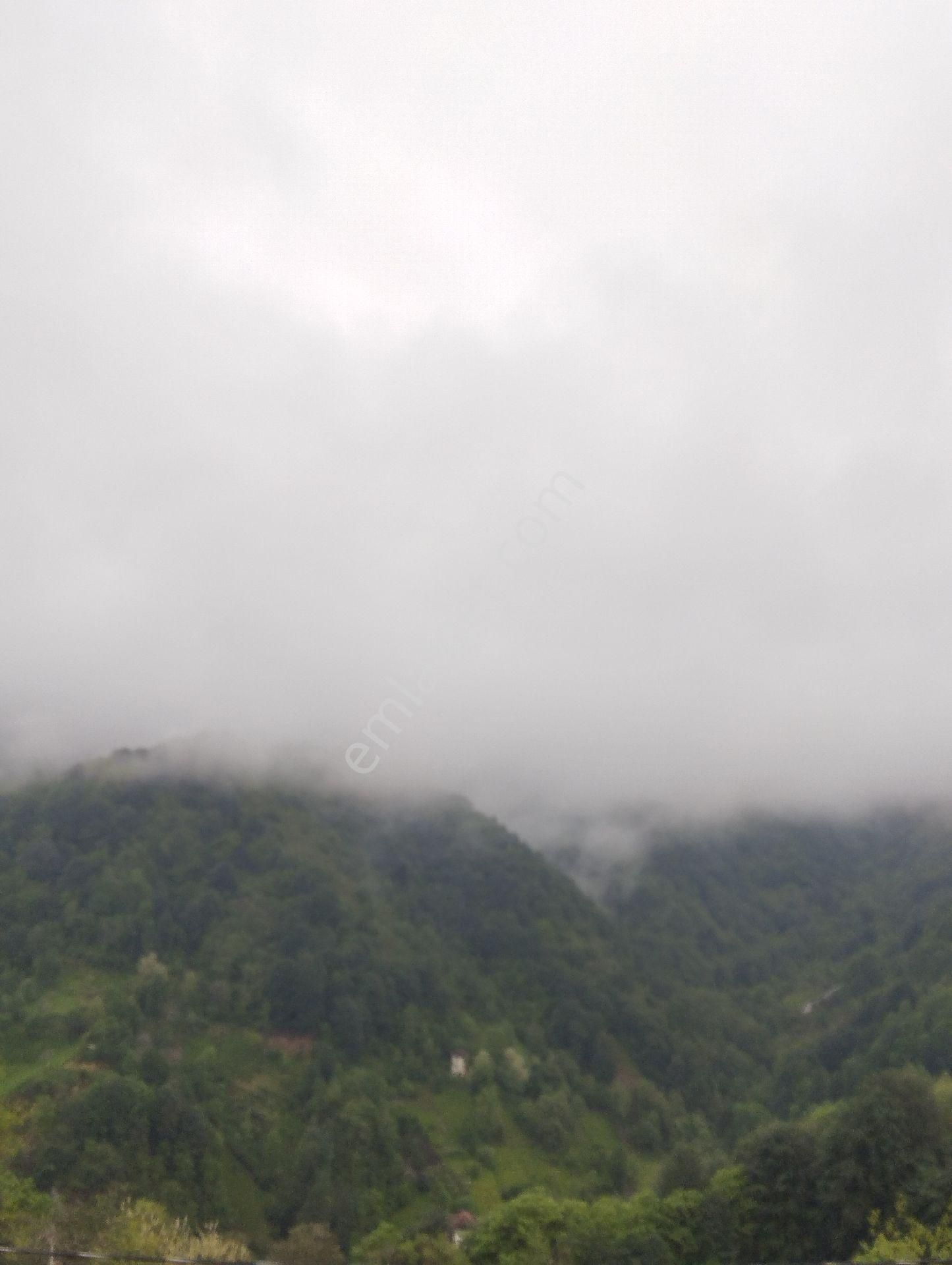 Pazar Başköy Köyü (Tutoğlu Mevki) Satılık Arazi Rize Arsa 