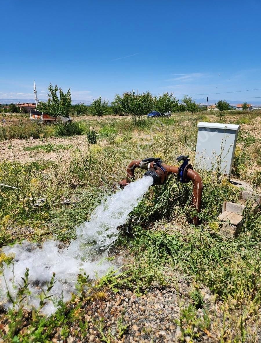 Battalgazi Çolakoğlu Satılık Bağ & Bahçe KAYISI BAHÇESİ BATTALGAZİ MERKEZE 4 km MESAFEDE