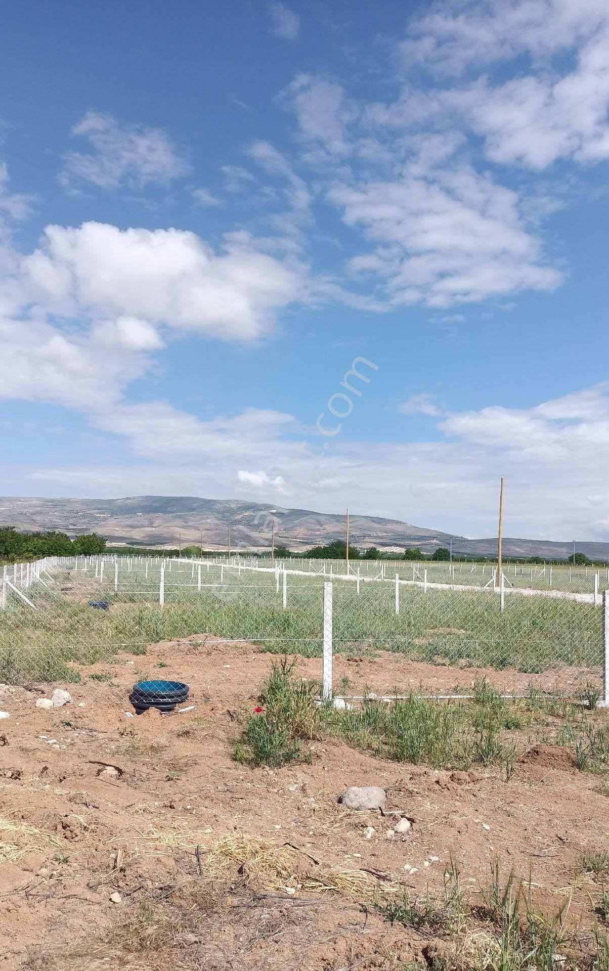 Battalgazi Niyazi Satılık Tarla Malatya havaalanı bölgesi çatyol