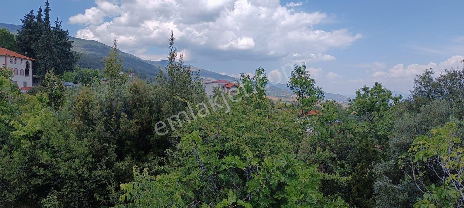 Nazilli Alkan Gayrimenkülden Satılık - Görsel 11