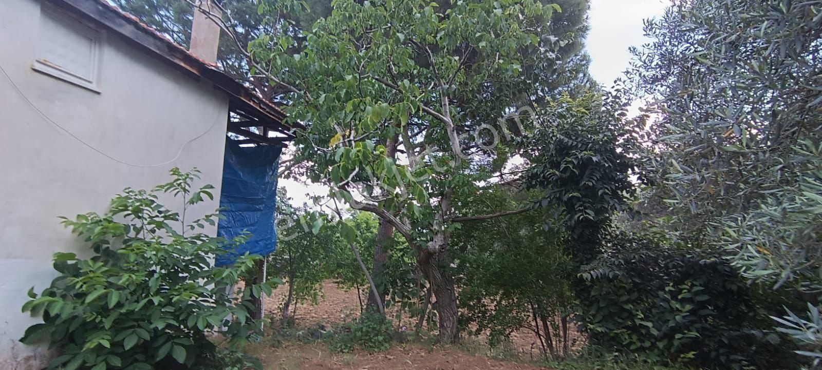 Nazilli Alkan Gayrimenkülden Satılık - Görsel 14