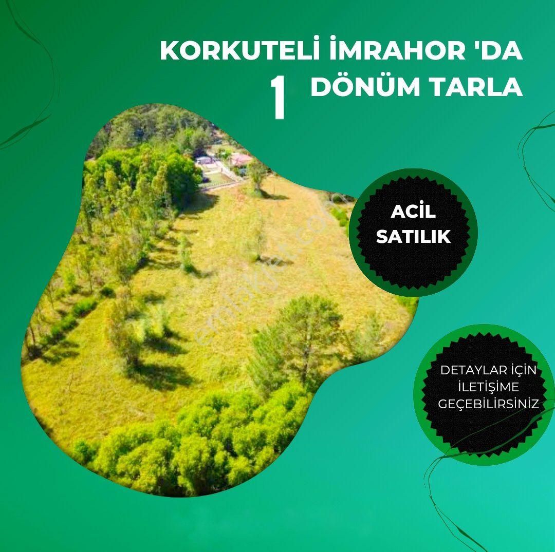 Korkuteli İmrahor Satılık Tarla KORKUTELİ İMRAHORDA ACİL SATILIK 1  DÖNÜM TARLA 