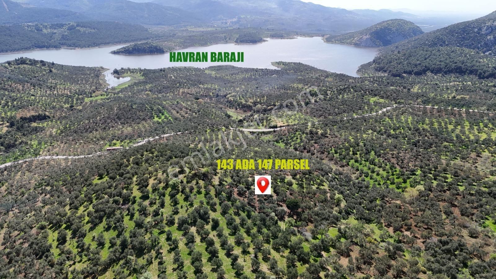 Havran Sarnıç Satılık Zeytinlik Havran sarnıç Satılık 17.272 m2 baraj manzaralı zeytinlik