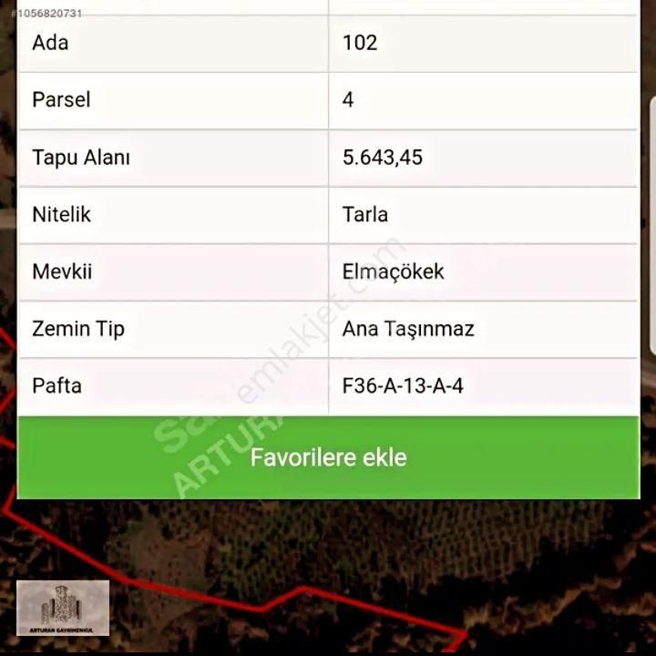 Fındık Bahçesi - Görsel 2