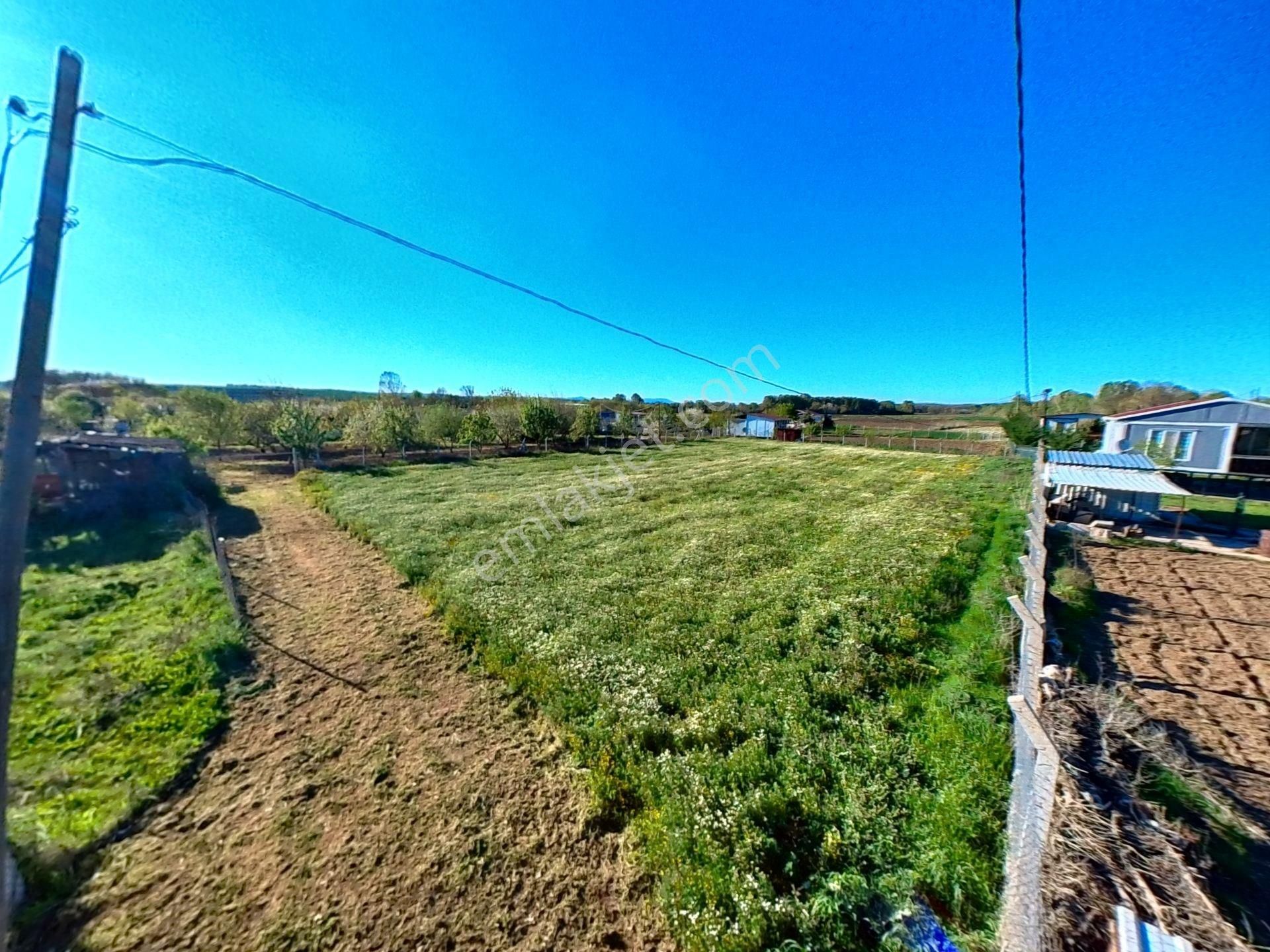 Edirne Merkez Değirmenyeni Köyü Satılık Bağ & Bahçe DEĞİRMENYENİ'DE ACİL SATILIK KÖPRÜYE YAKIN 1575m2 BAHÇE