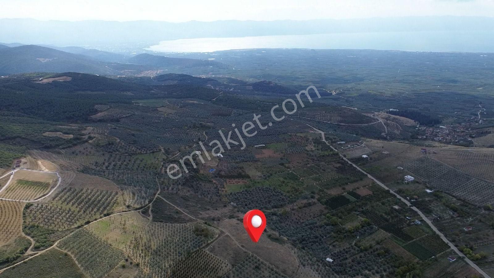 Acilsatılık - Görsel 14