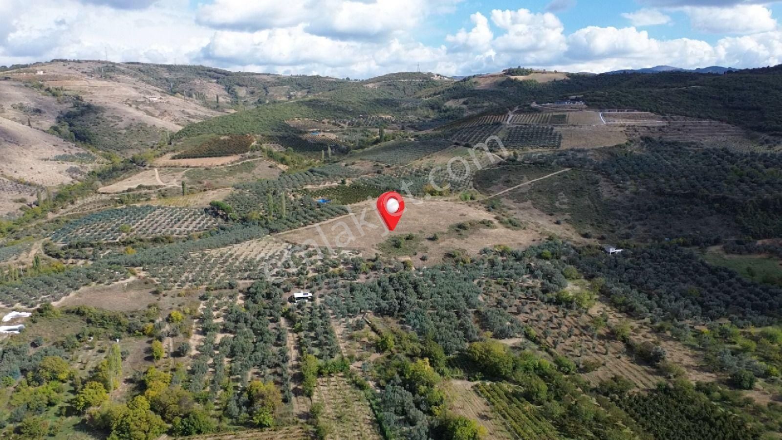 Acilsatılık - Görsel 11