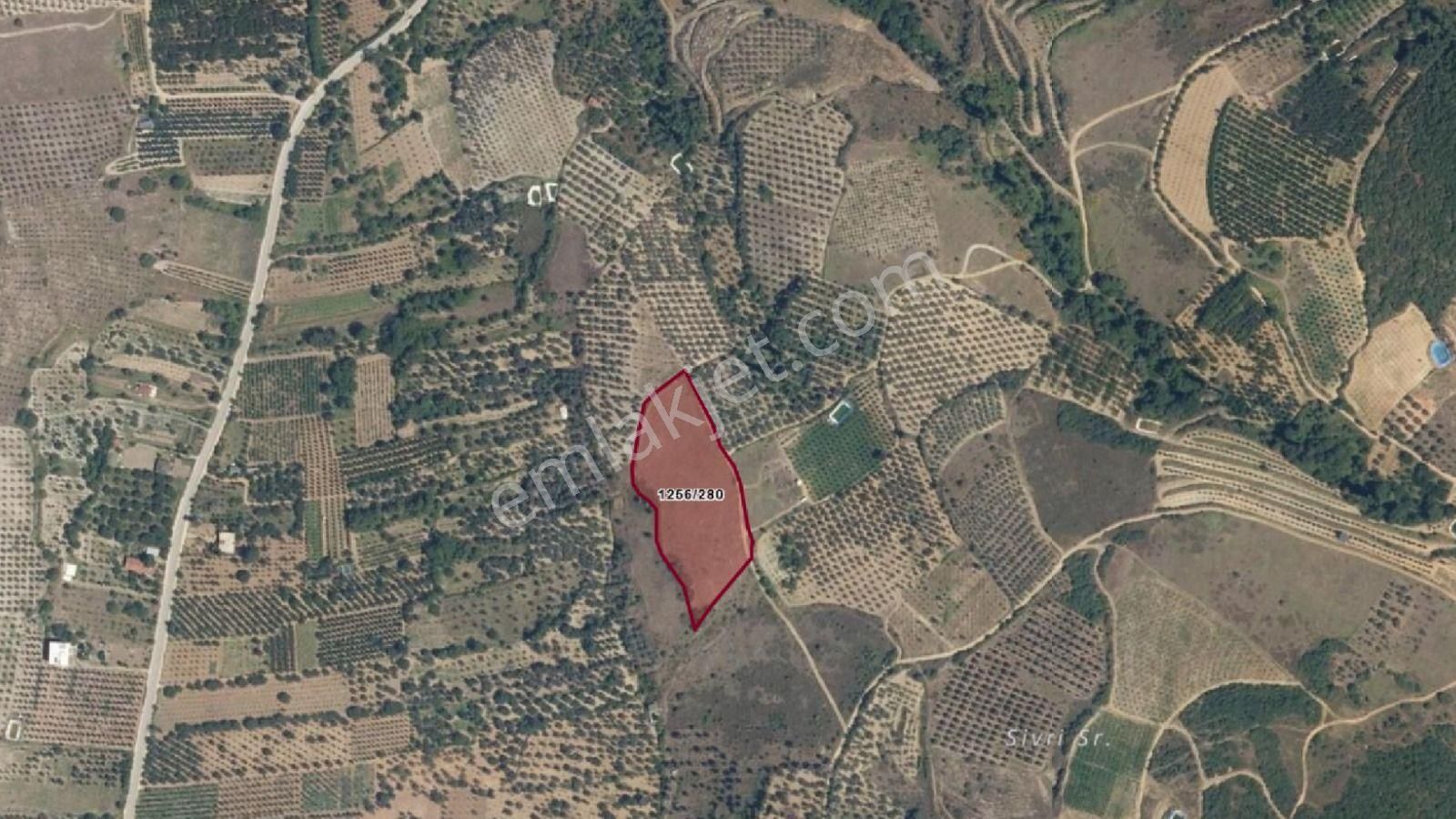 Acilsatılık - Görsel 18