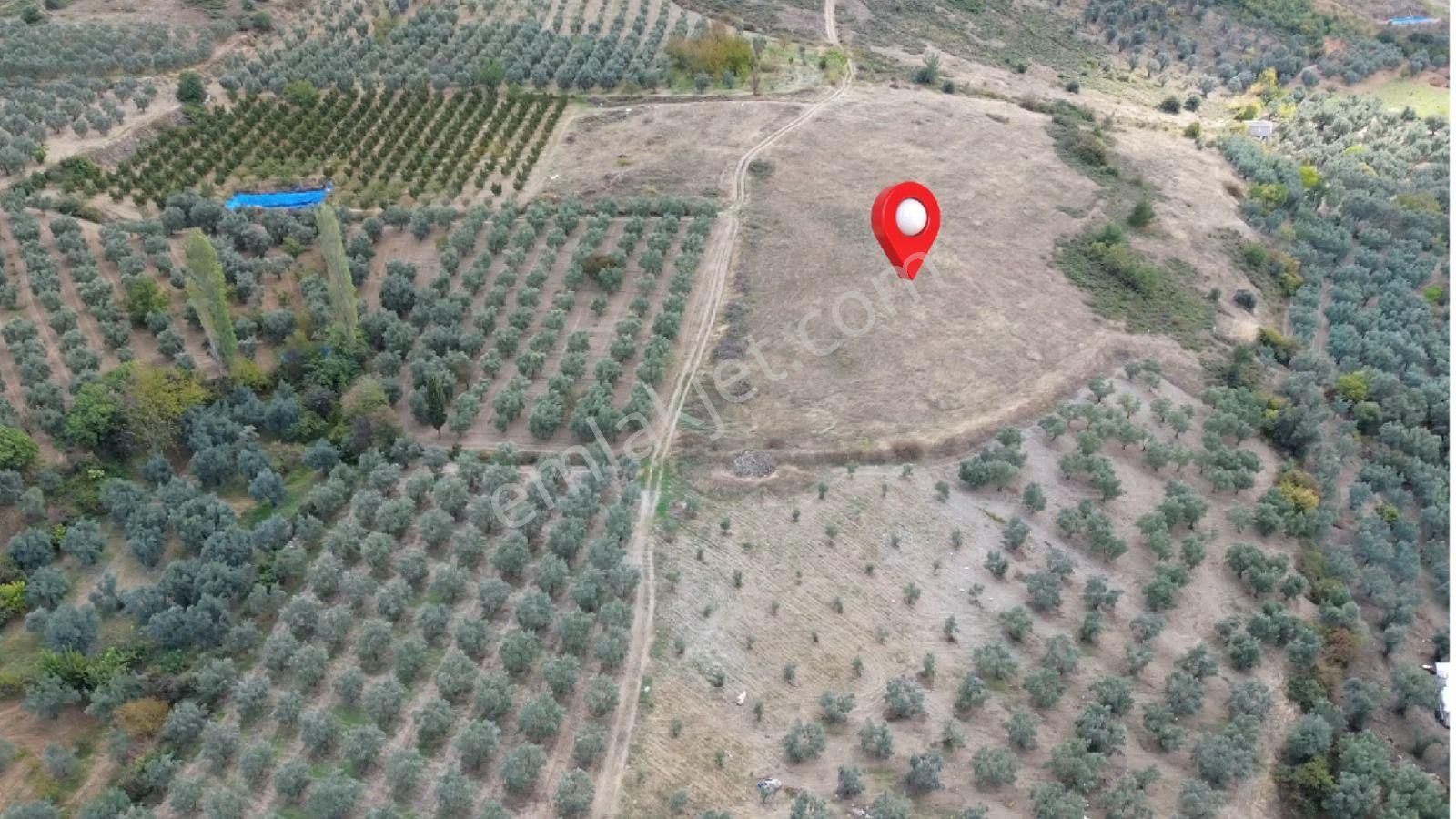 Acilsatılık - Görsel 16