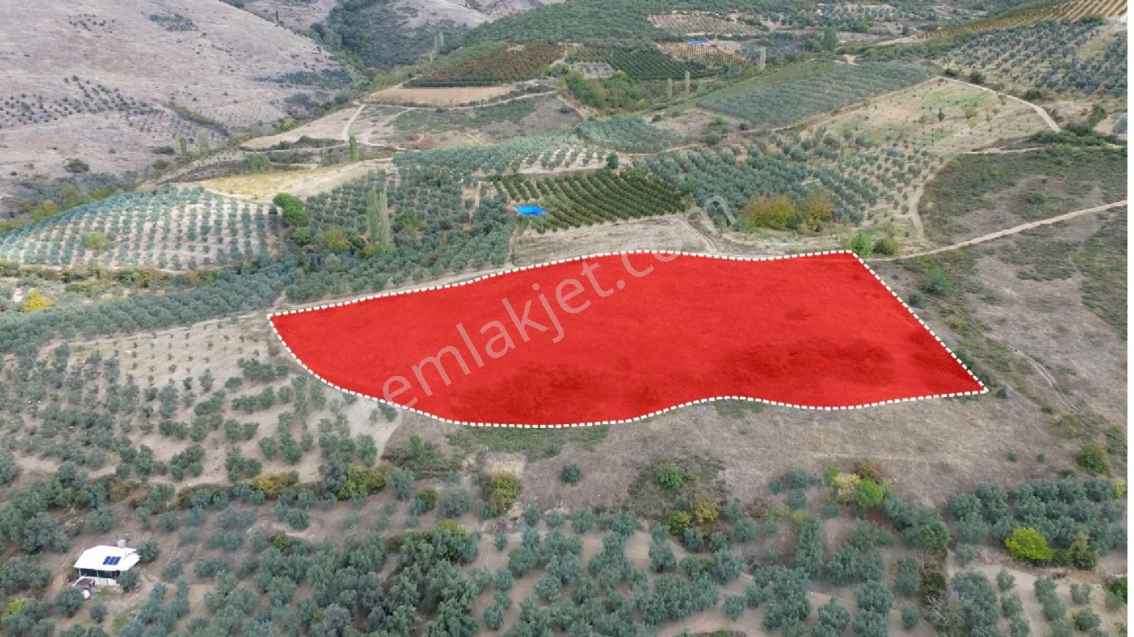 Acilsatılık - Görsel 8