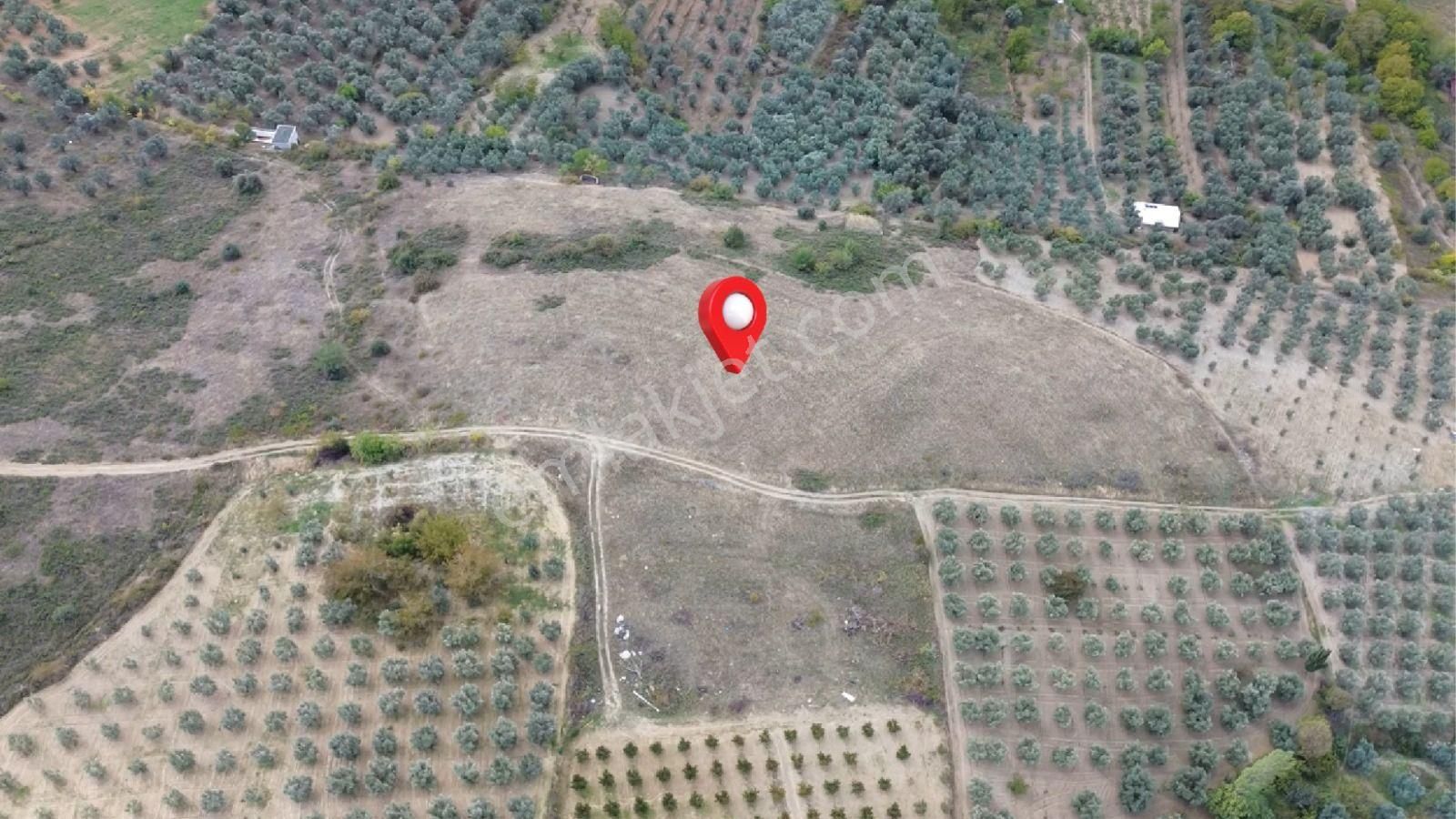 Acilsatılık - Görsel 15