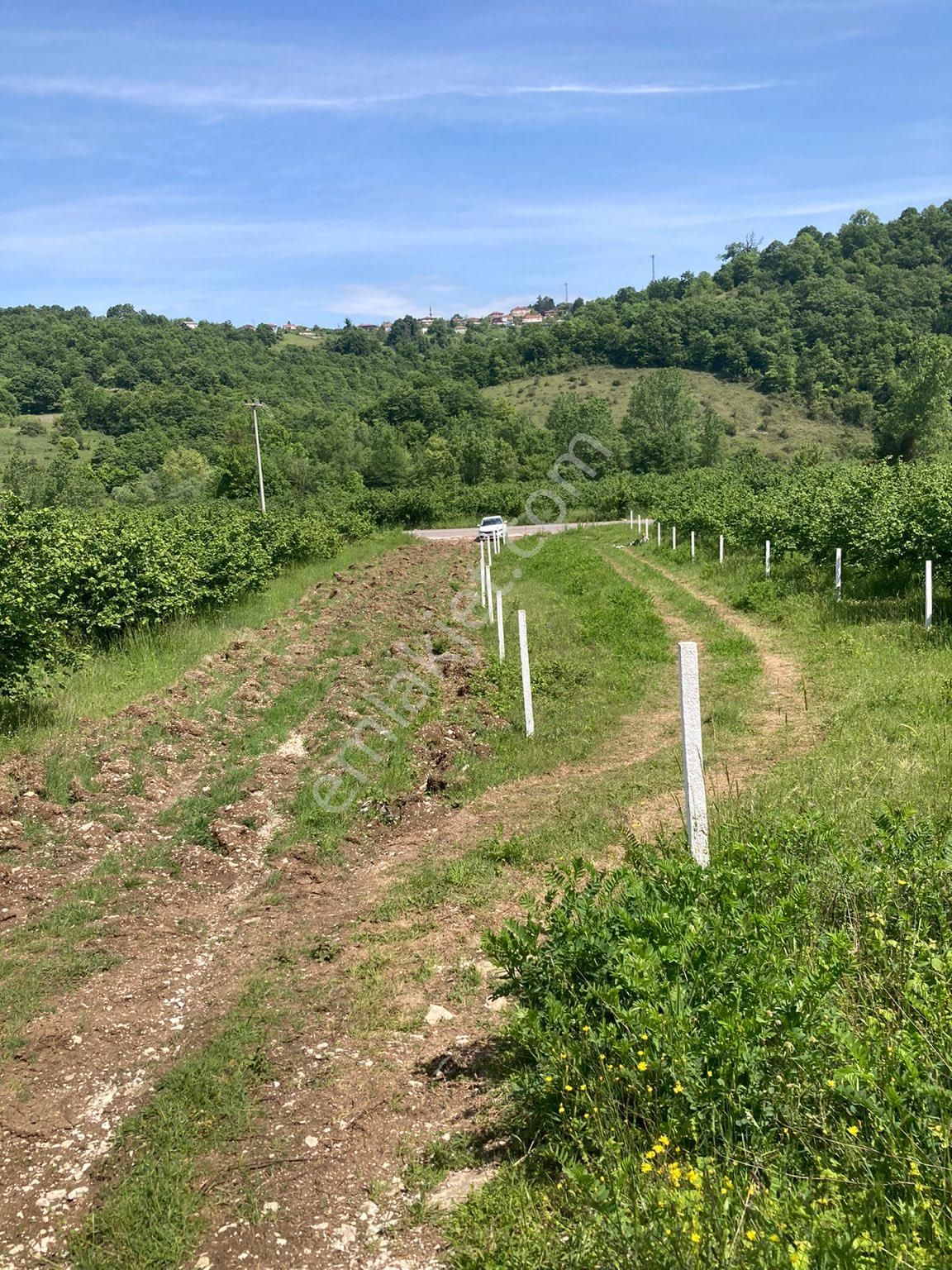 Kendiyerim - Görsel 4