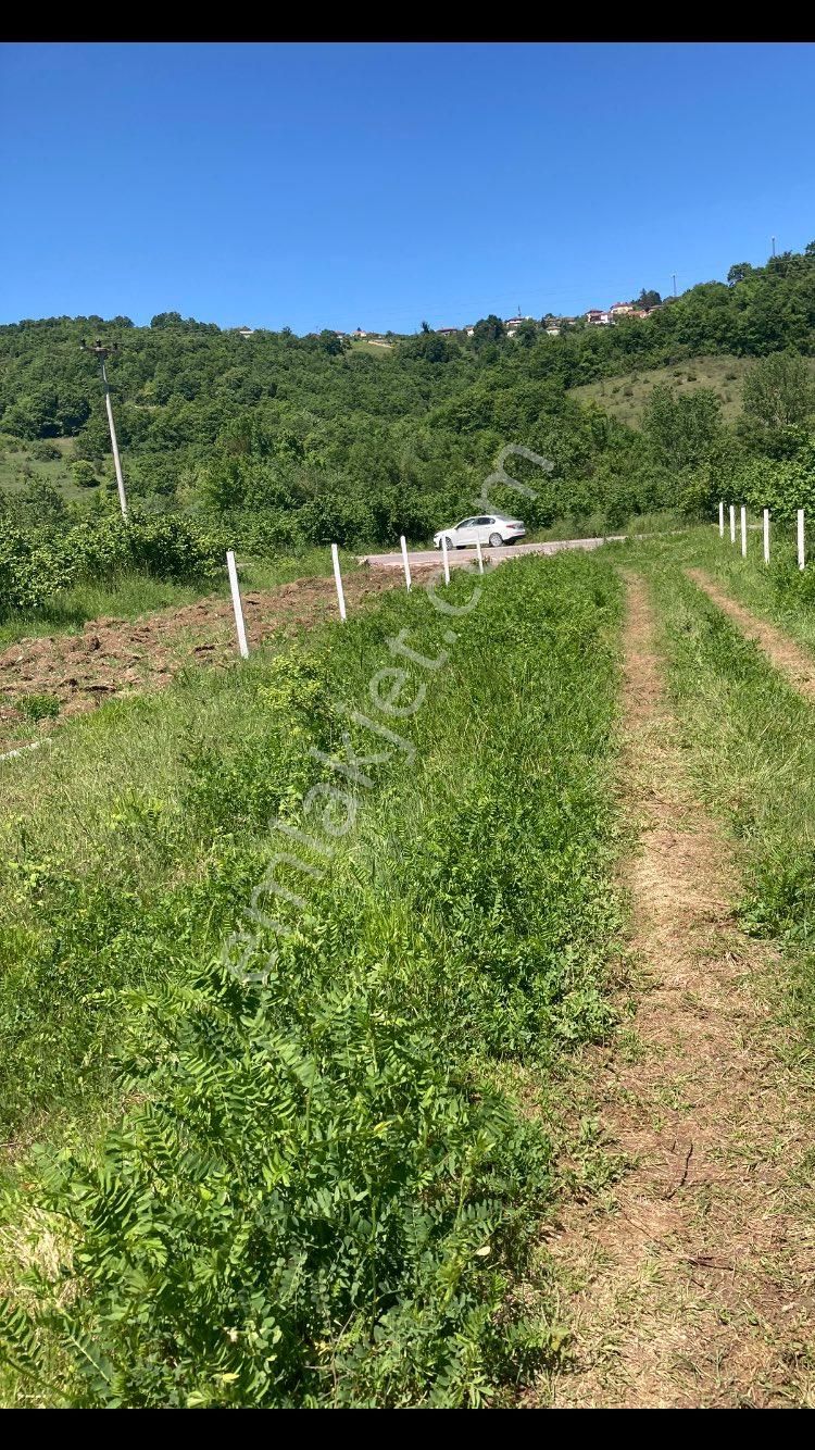 Kendiyerim - Görsel 5