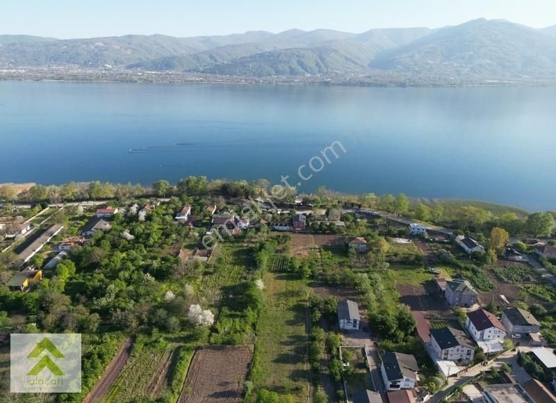 Kartepe Eşme Satılık Bağ & Bahçe ALAÇATI'dan SAPANCA GÖLÜ KENARINDA SATILIK ARSA