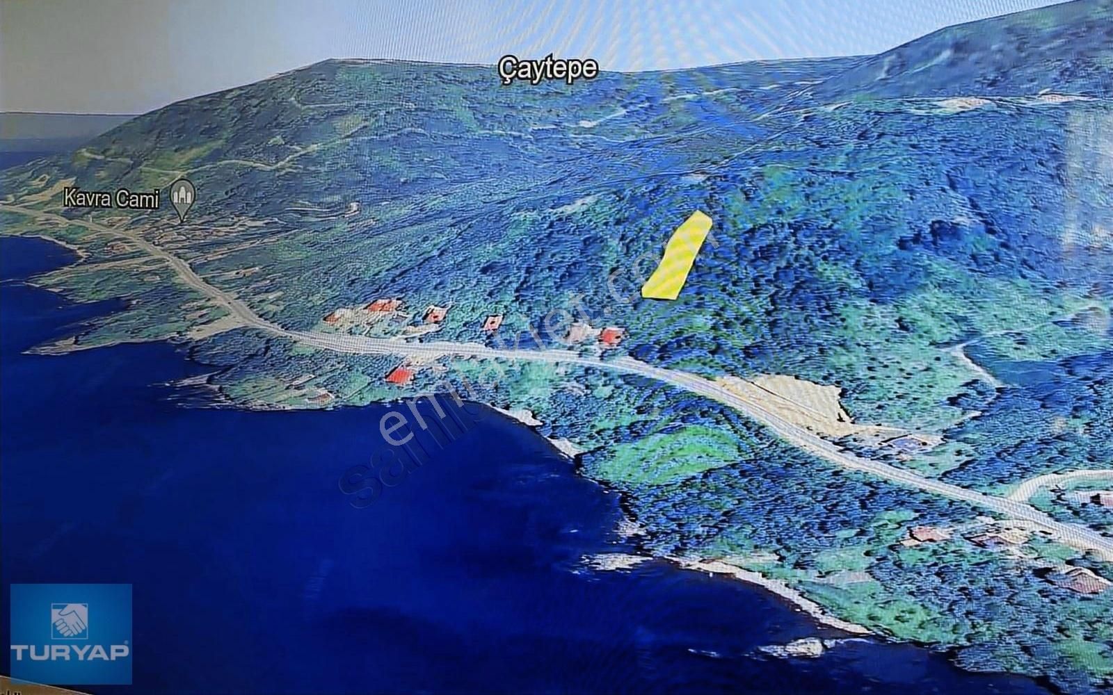 Perşembe Çaytepe Satılık Bağ & Bahçe ORDU PERŞEMBE ÇAYTEPE'DE 876 m2 SATILIK BAĞ&BAHÇE