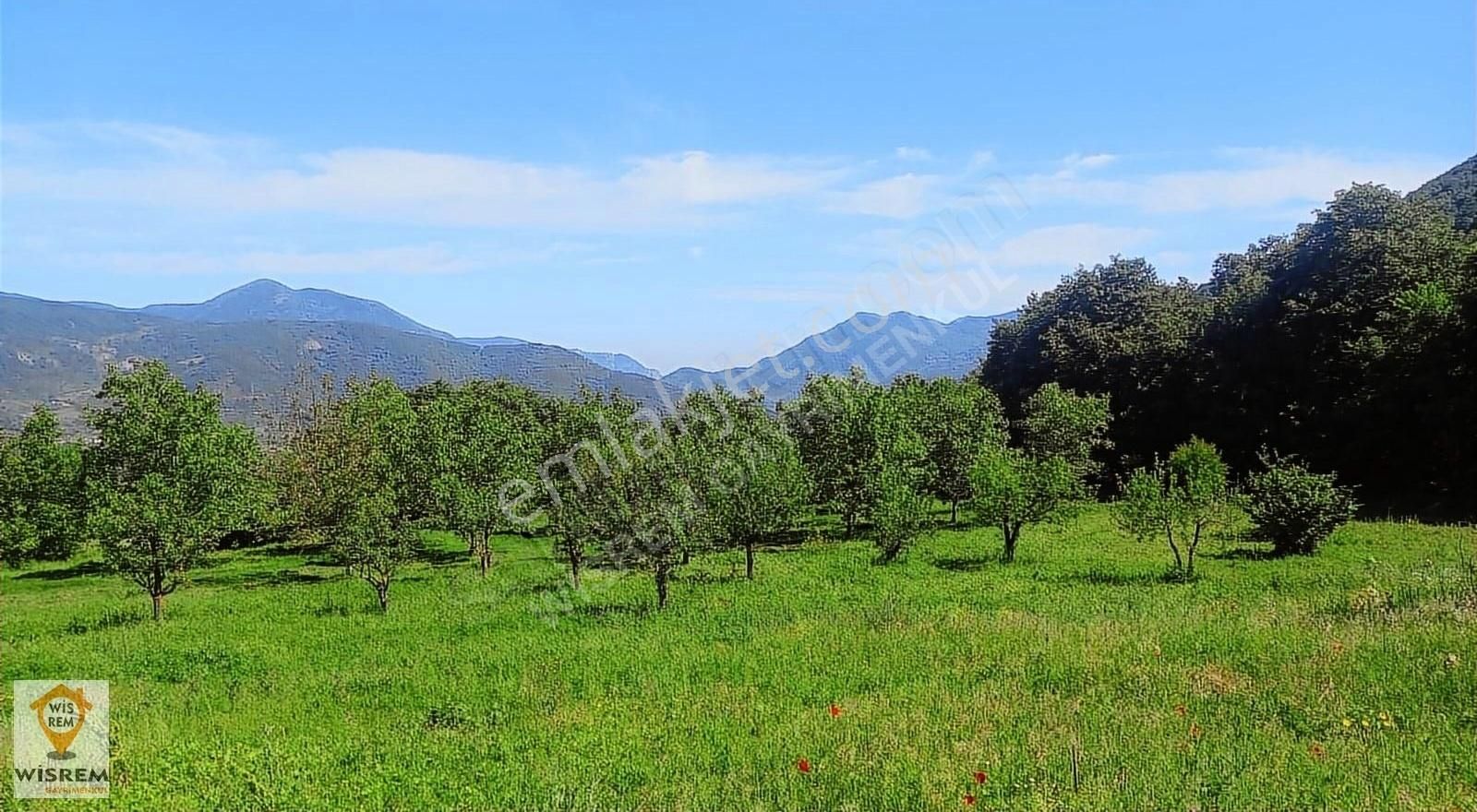 Geyve Akkaya Satılık Konut İmarlı FIRSAT !!! GEYVE AKKAYA KÖYÜ 3409 M2 IMARLI MEYVE BAHÇESİ