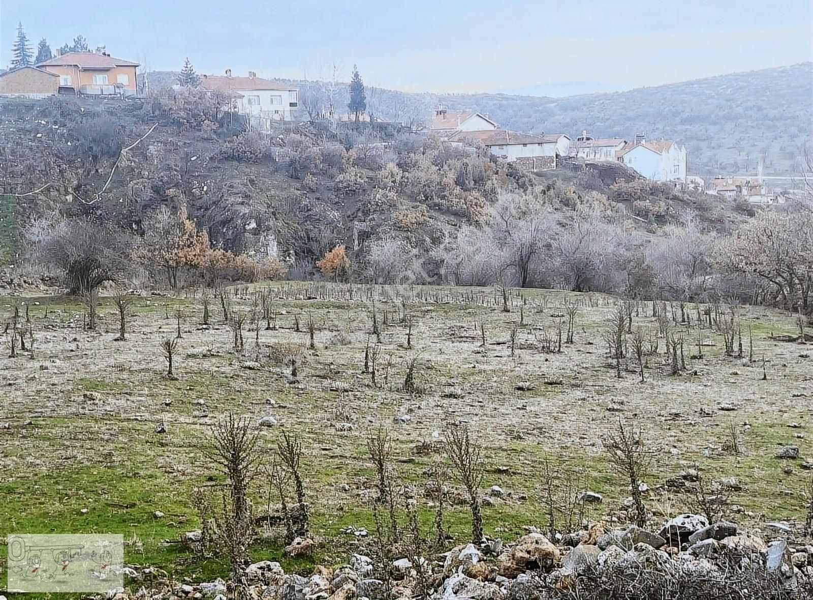 Tavşanlı Dedeler Satılık Tarla KÜTAHYA TAVŞANLI DEDELER MAHALLESİNDE 1461 M2 FIRSAT ARAZİ