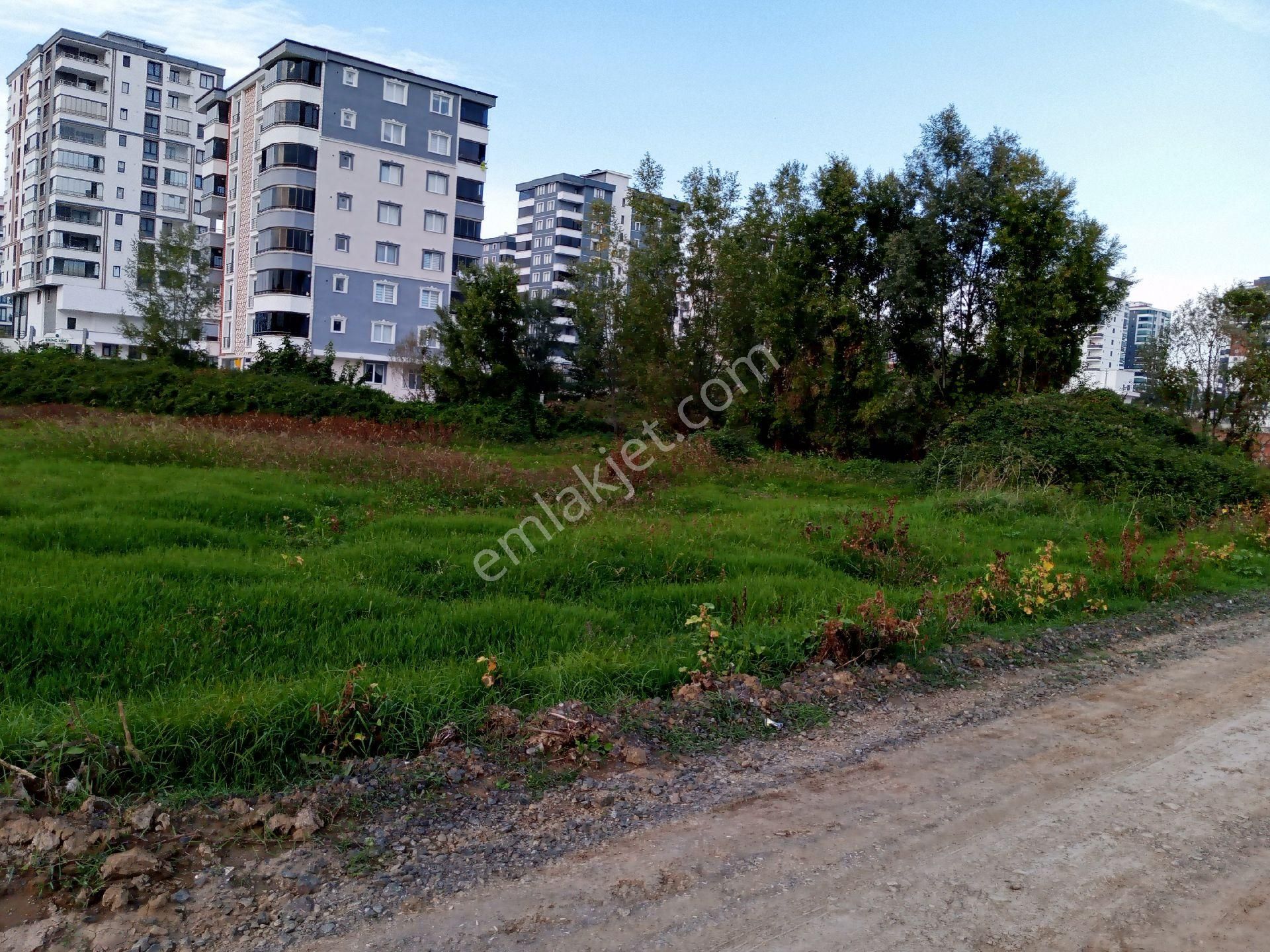 İlkadım Tepecik Satılık Konut İmarlı  İLAKDIM TEPECİK SATILIK FIRSAT ARSA